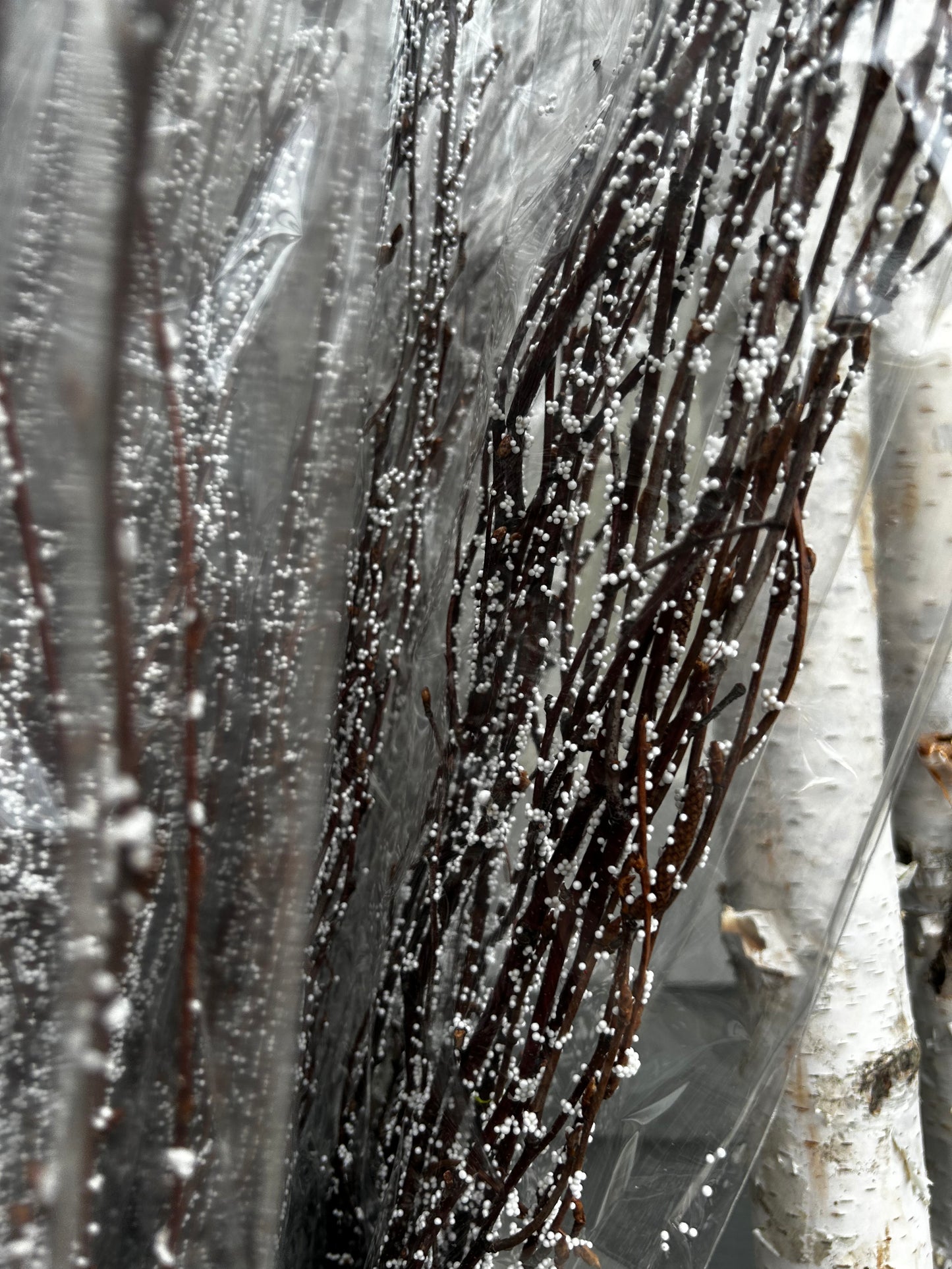 Accents, Birch Branches 3-4', Snow (XMNP927) Each