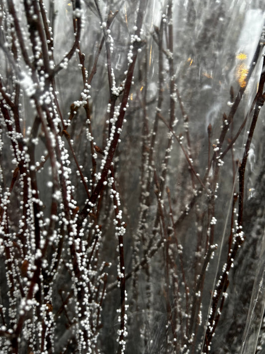 Accents, Birch Branches 3-4', Snow (XMNP927) Each