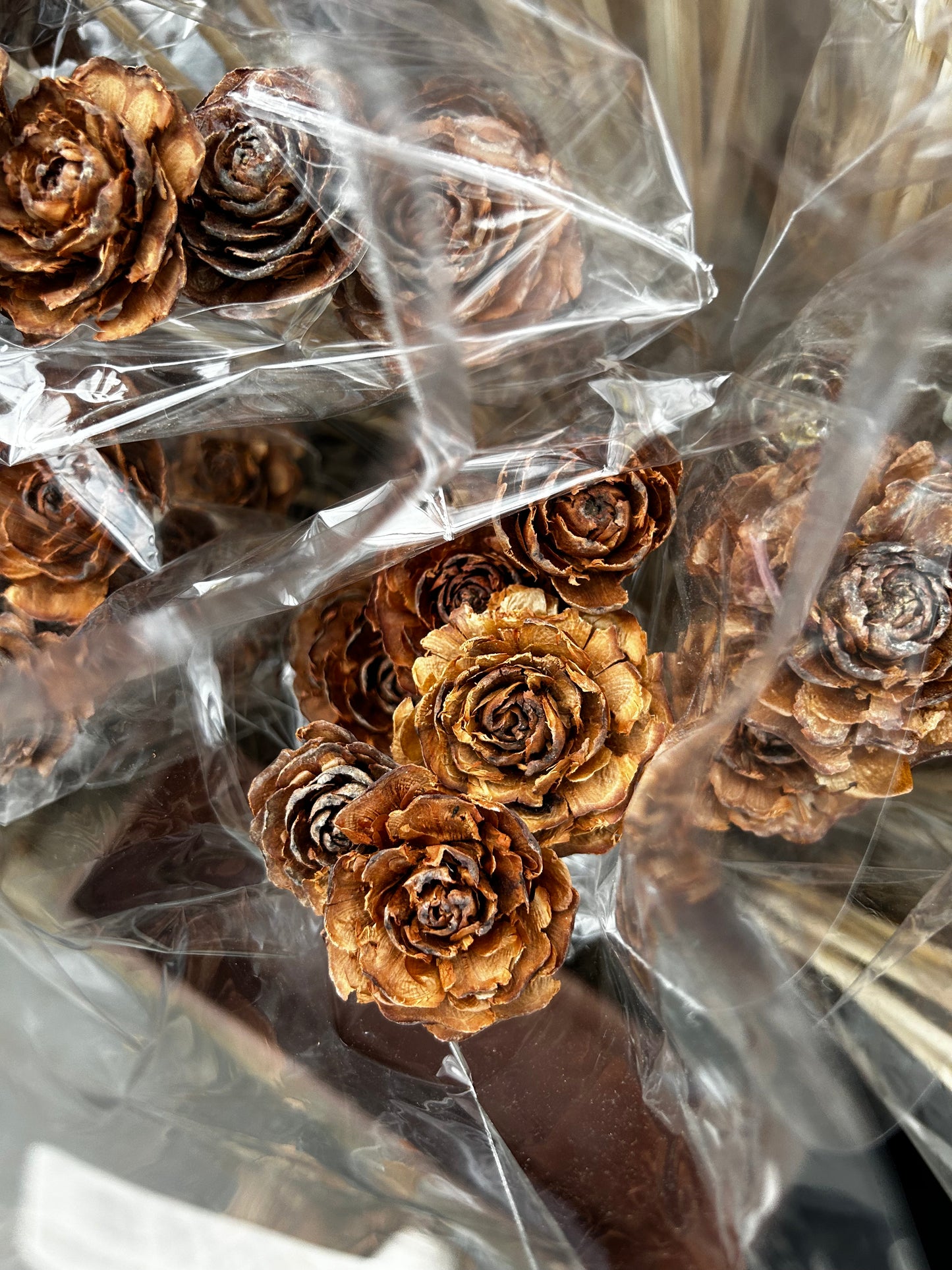 Accents, Cedar Rose Natural Each