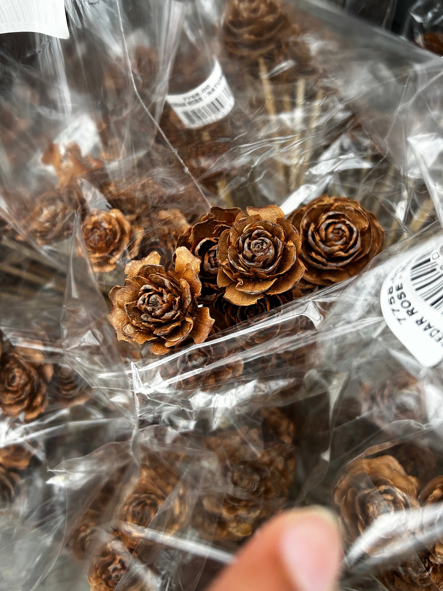 Accents, Cedar Rose Natural Each