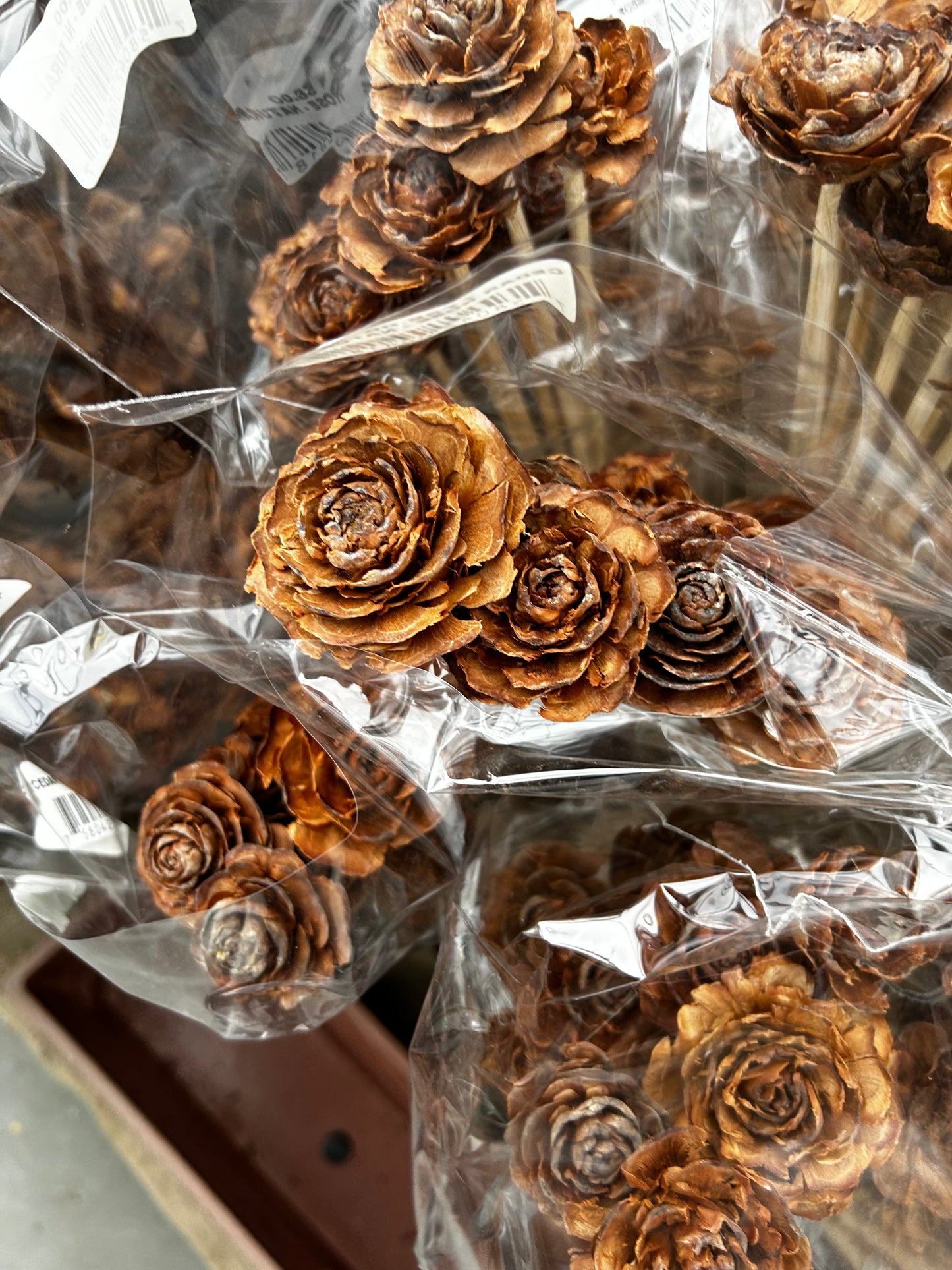 Accents, Cedar Rose Natural Each