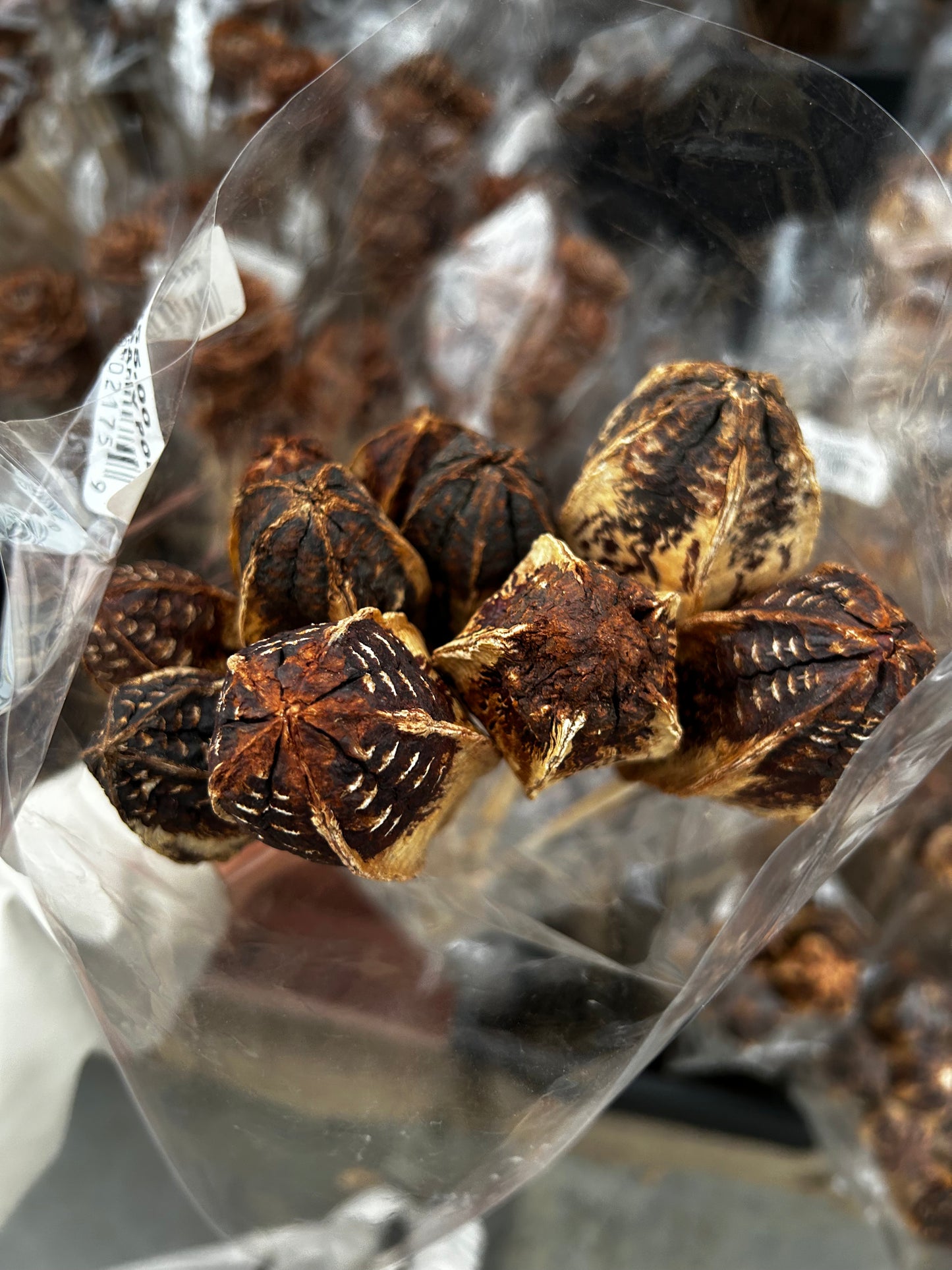 Accents, Mahogany Pods, Natural (XMNP661) Each