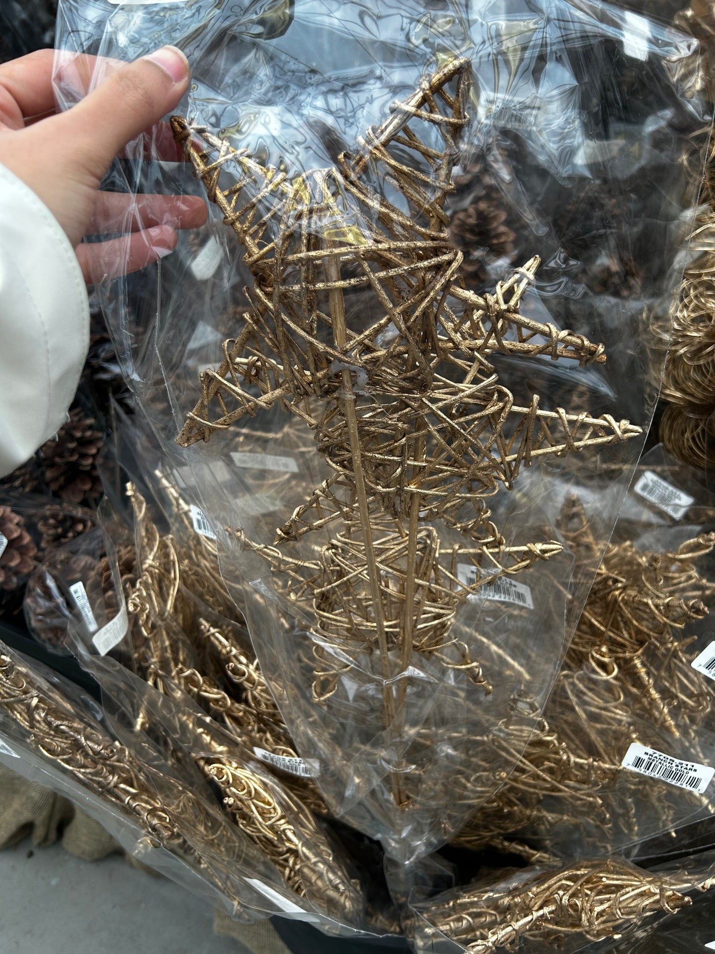 Accents, Branch Star, Gold Metallic (XMNP625) Each