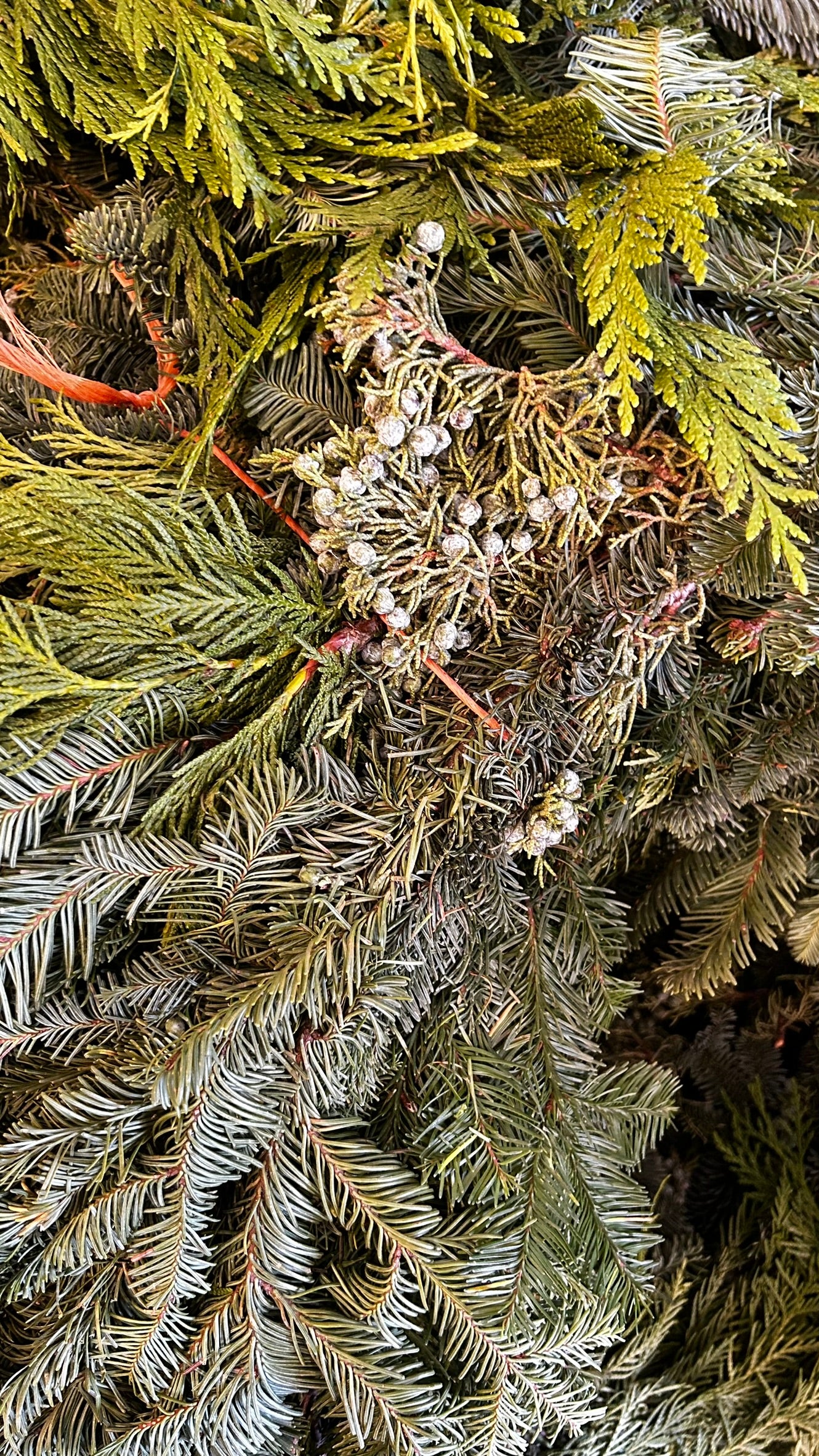 Roping, West Coast 'Deluxe' Mix, 25' Coil Each