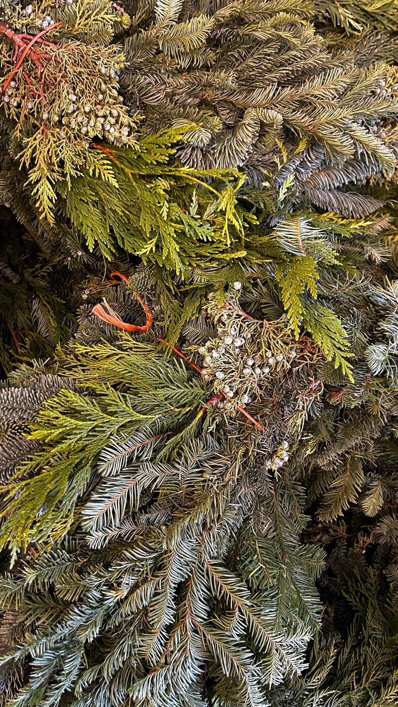 Roping, West Coast 'Deluxe' Mix, 25' Coil Each