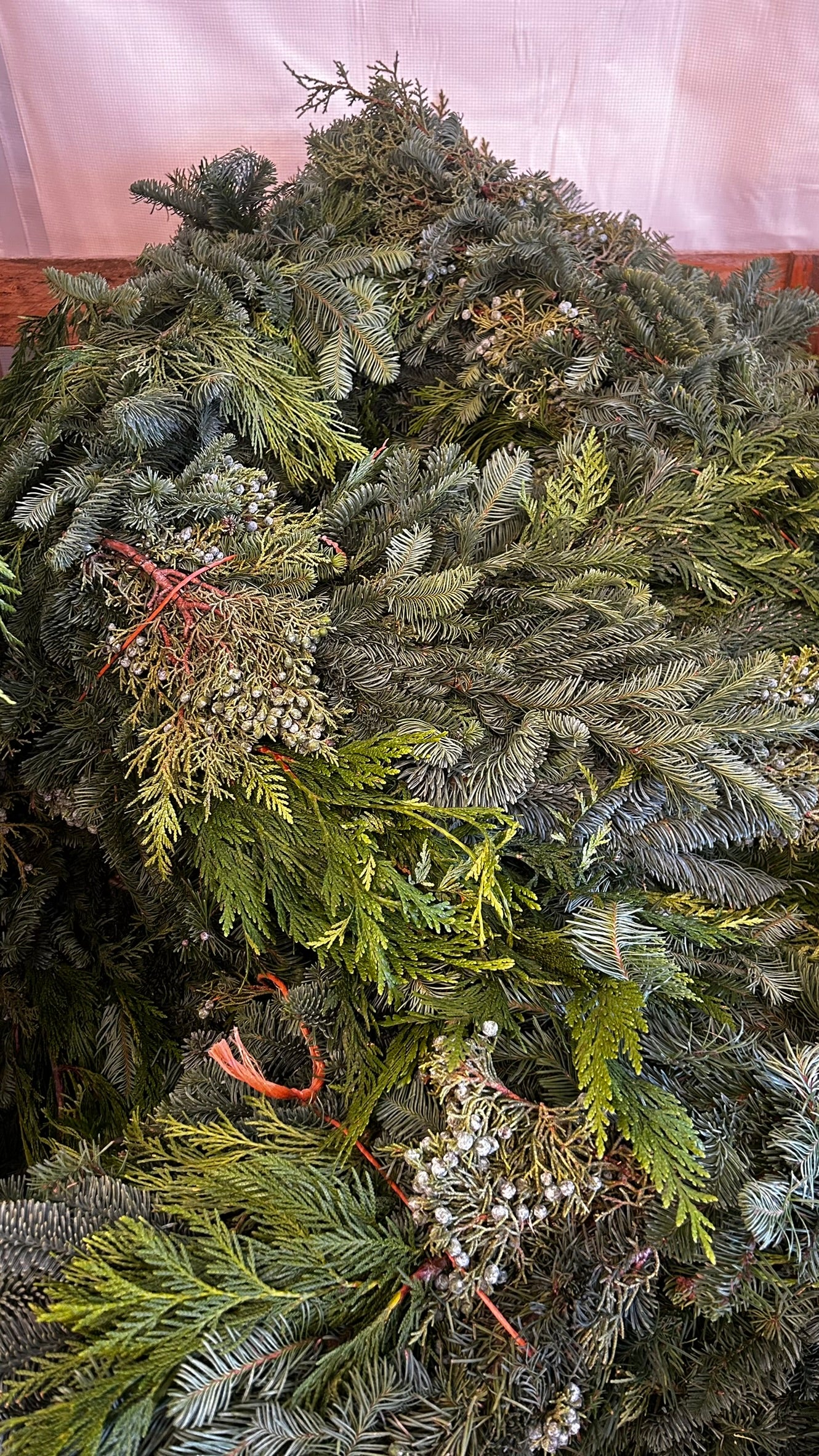 Roping, West Coast 'Deluxe' Mix, 25' Coil Each