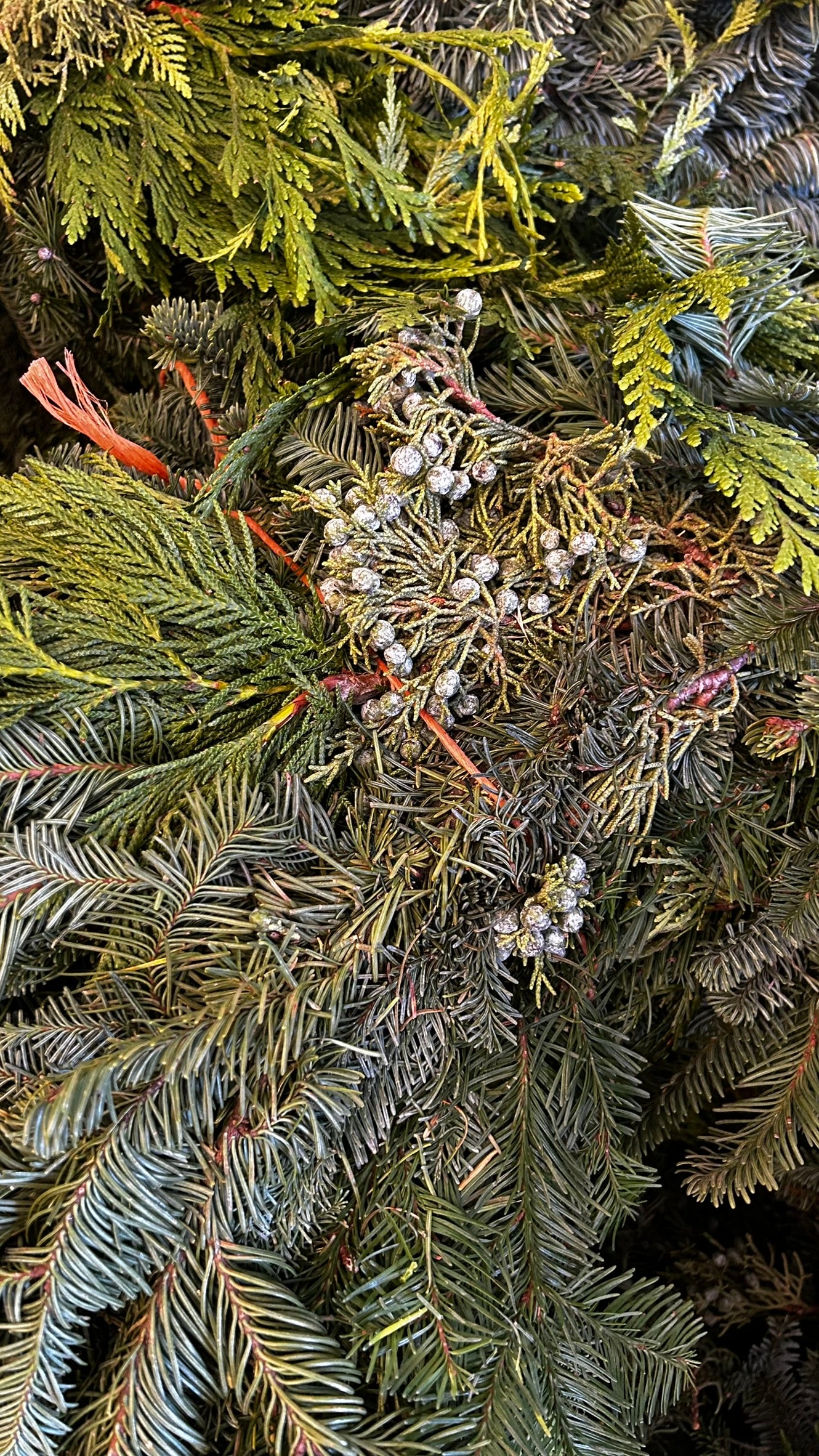 Roping, West Coast 'Deluxe' Mix, 25' Coil Each