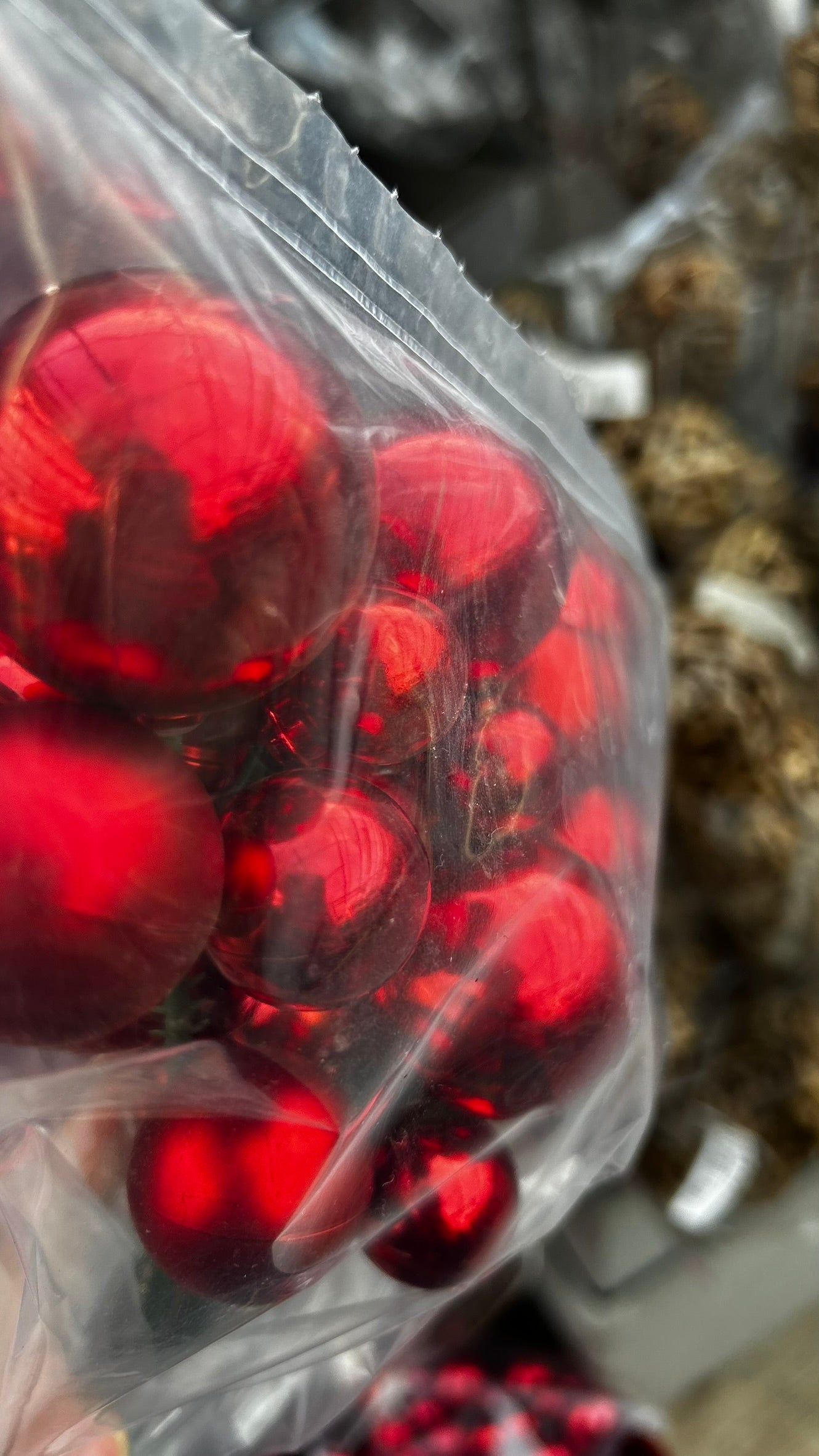 Accents, Berry Spray, Red Each