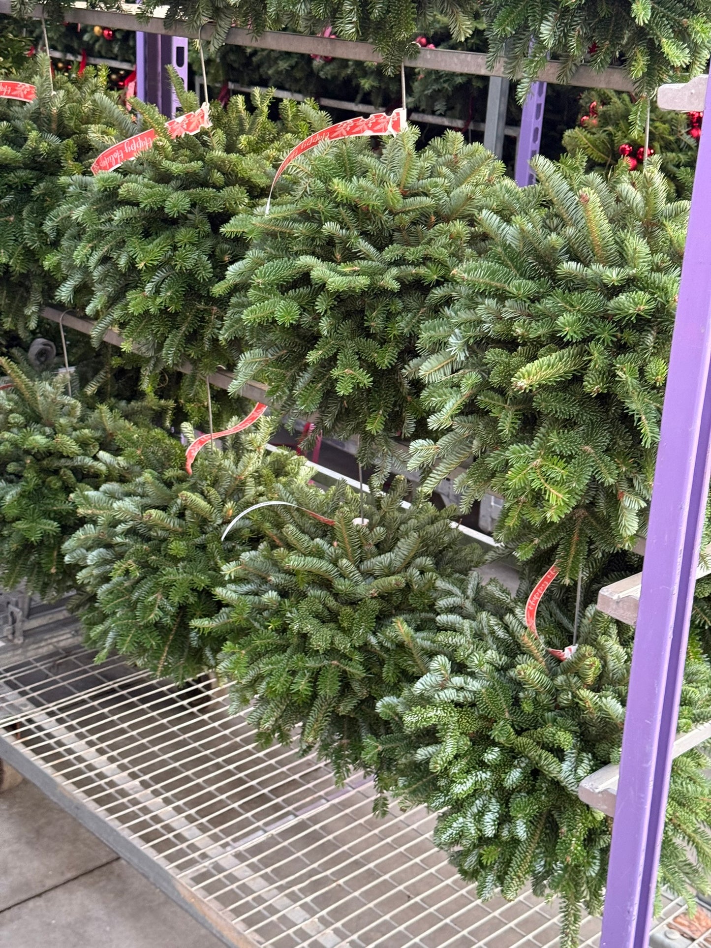 Kissing Ball, 14" Balsam/Fraser Fir, Burgundy Each