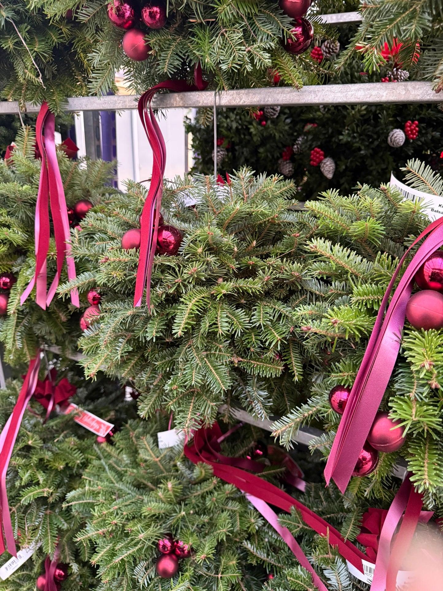 Kissing Ball, 14" Balsam/Fraser Fir, Burgundy Each