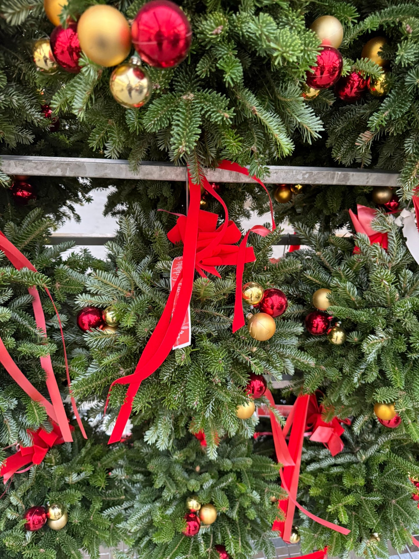 Kissing Ball, 14" Balsam/Fraser Fir, Red and Gold Each