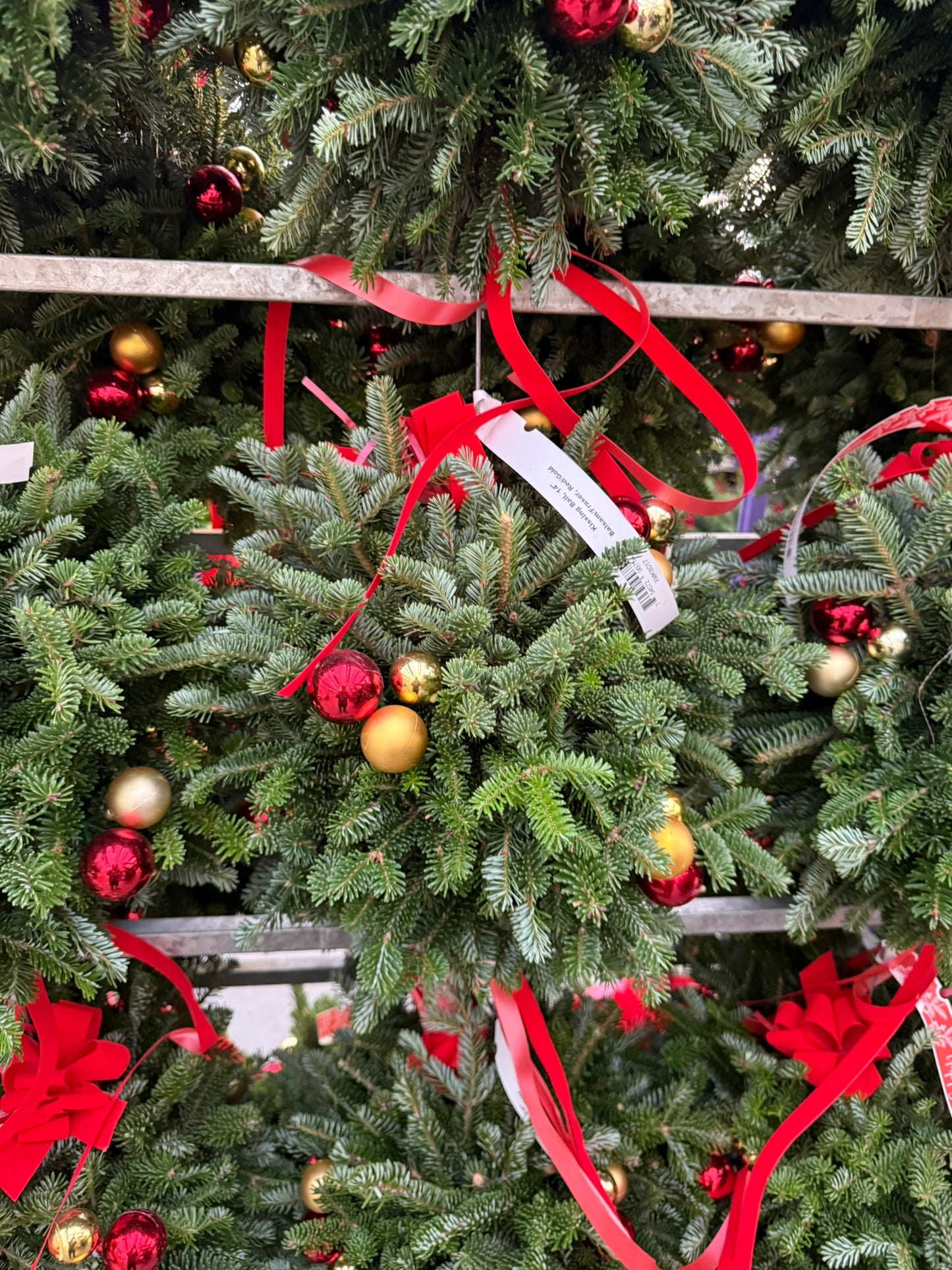 Kissing Ball, 14" Balsam/Fraser Fir, Red and Gold Each