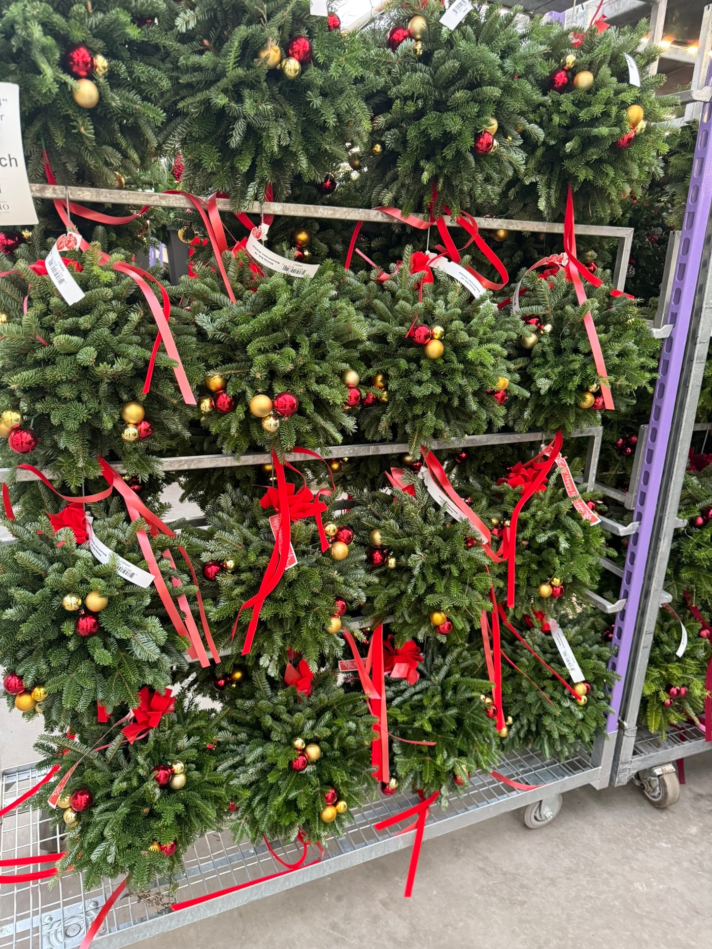 Kissing Ball, 14" Balsam/Fraser Fir, Red and Gold Each