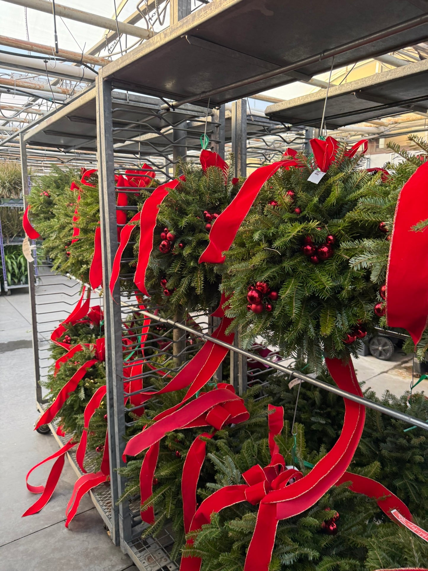 Kissing Ball, 29" Balsam/Fraser Fir, Red Pack of 1