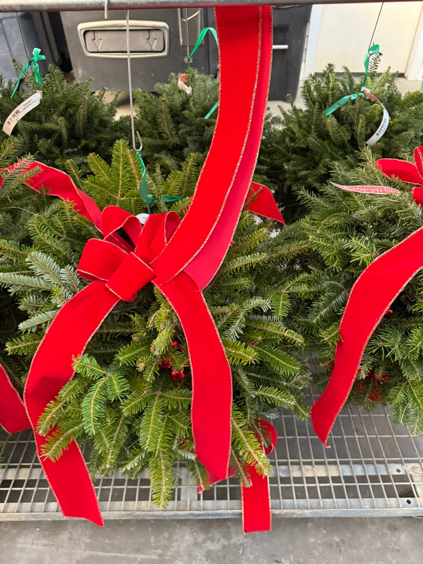 Kissing Ball, 29" Balsam/Fraser Fir, Red Pack of 1