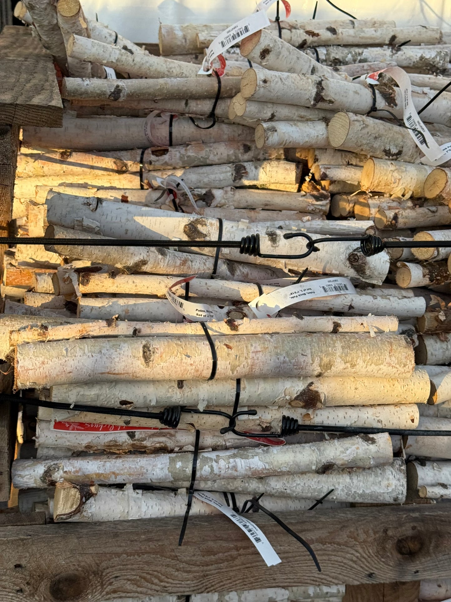 Birch Logs, Bundle