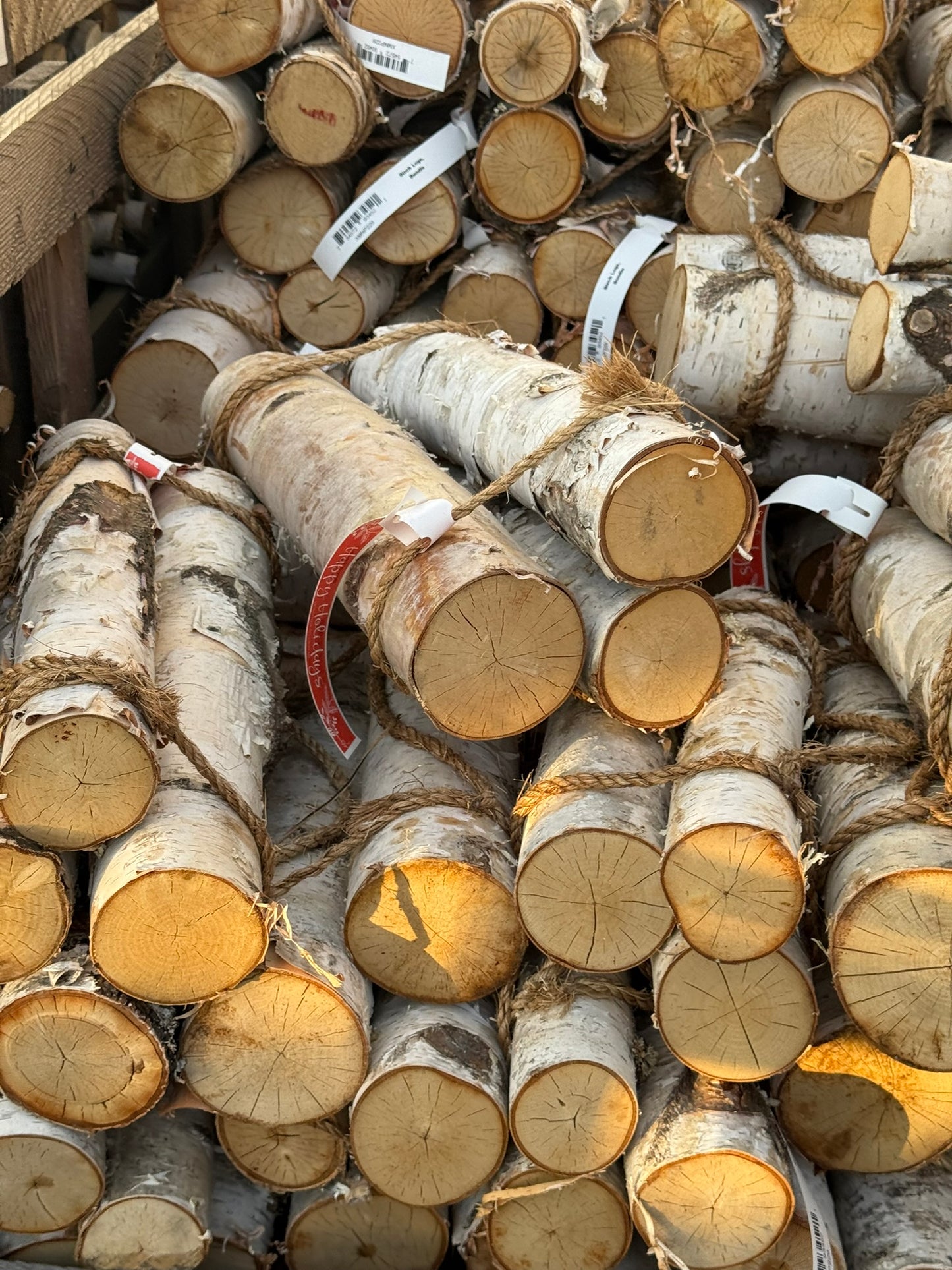 Birch Logs, Bundle