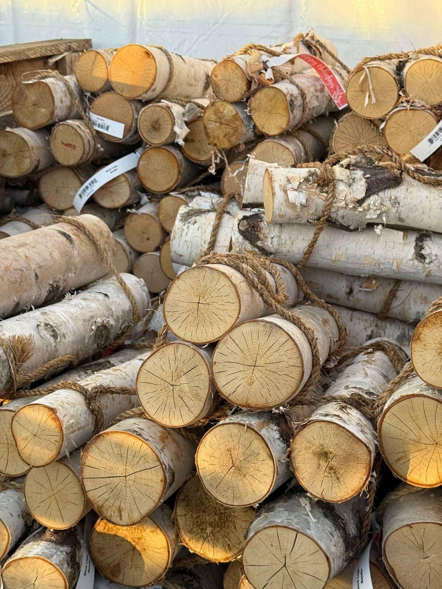 Birch Logs, Bundle