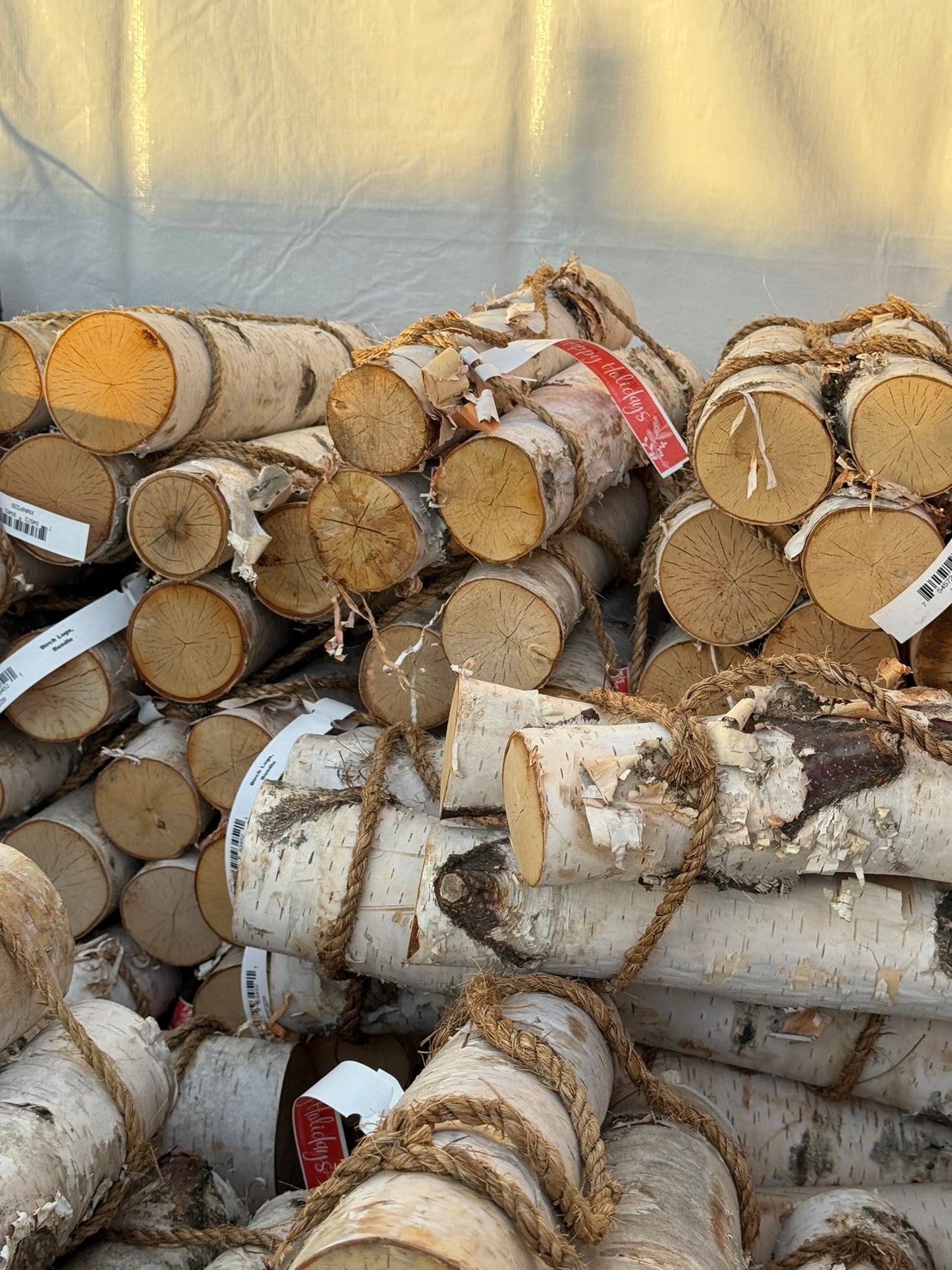 Birch Logs, Bundle