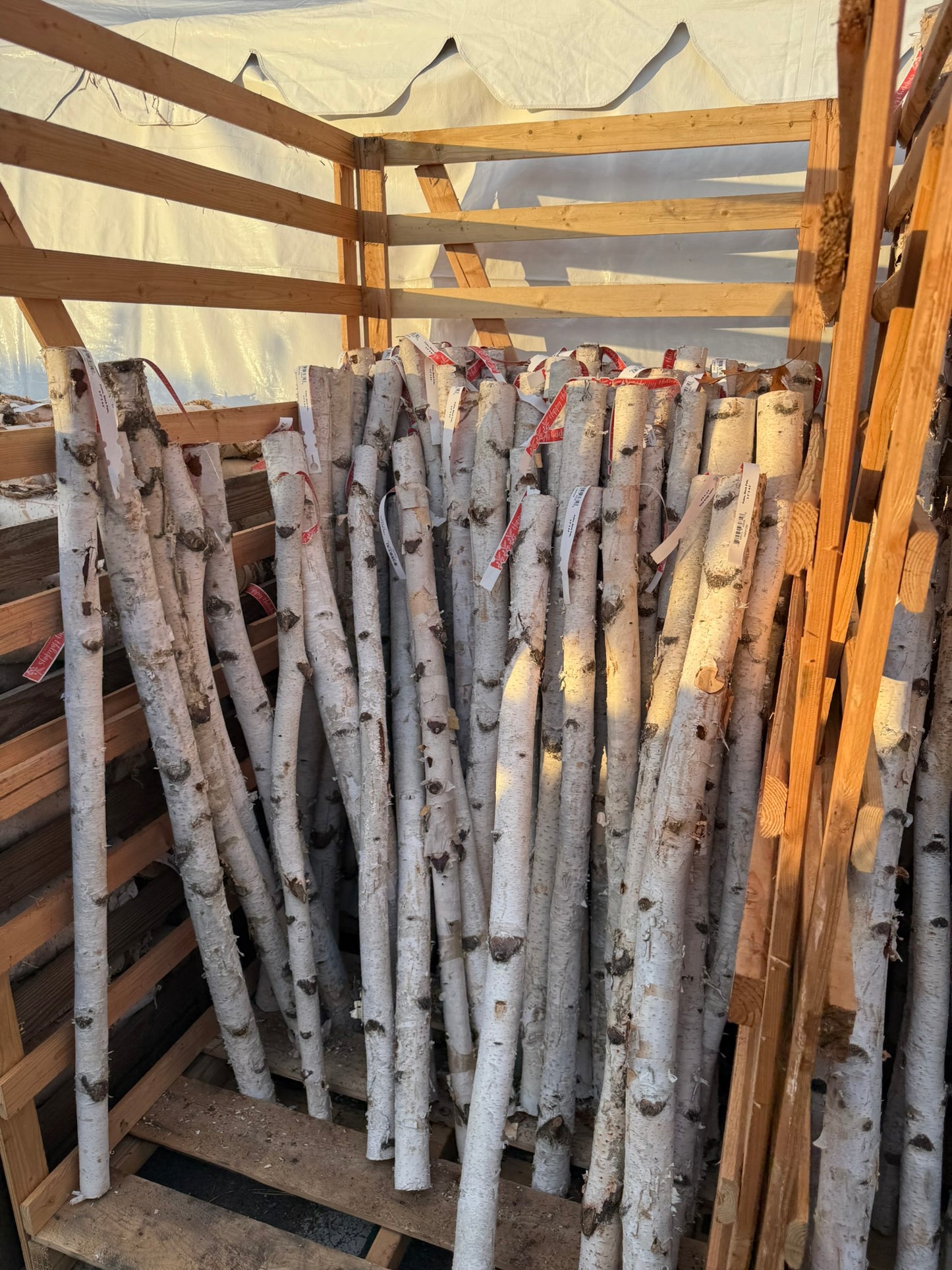 Poles, Birch Pole, 2-3" x 4-5' Each