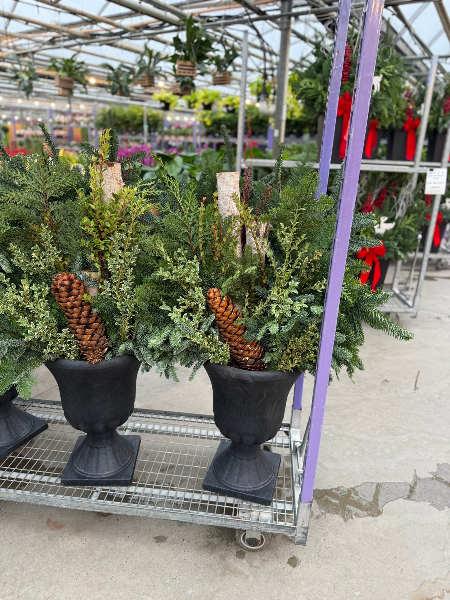 Planter, Estate Urn Each