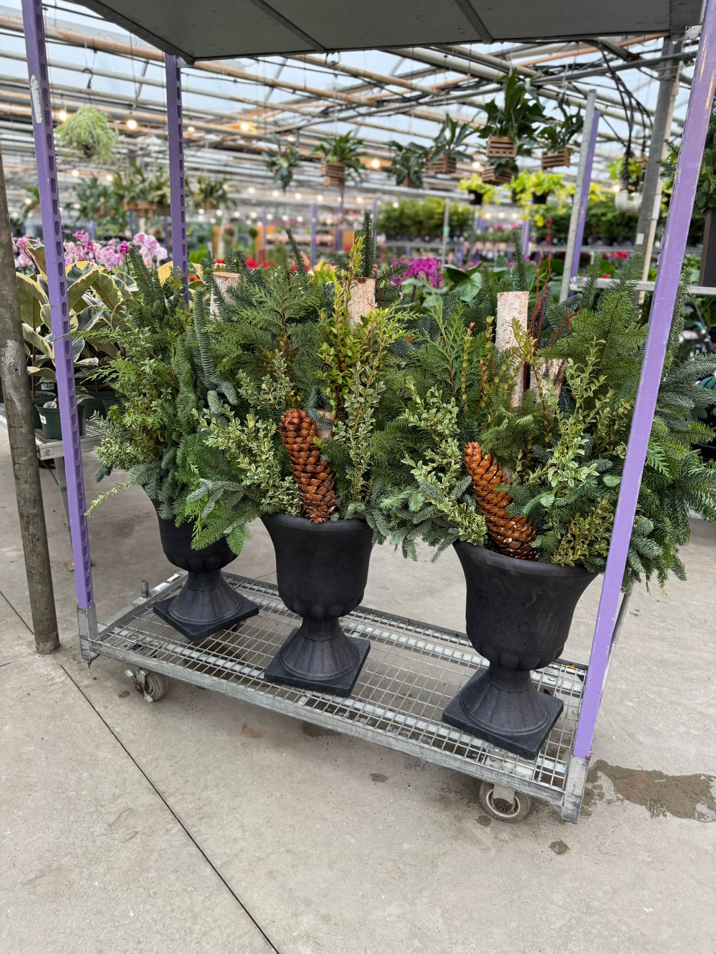 Planter, Estate Urn Each