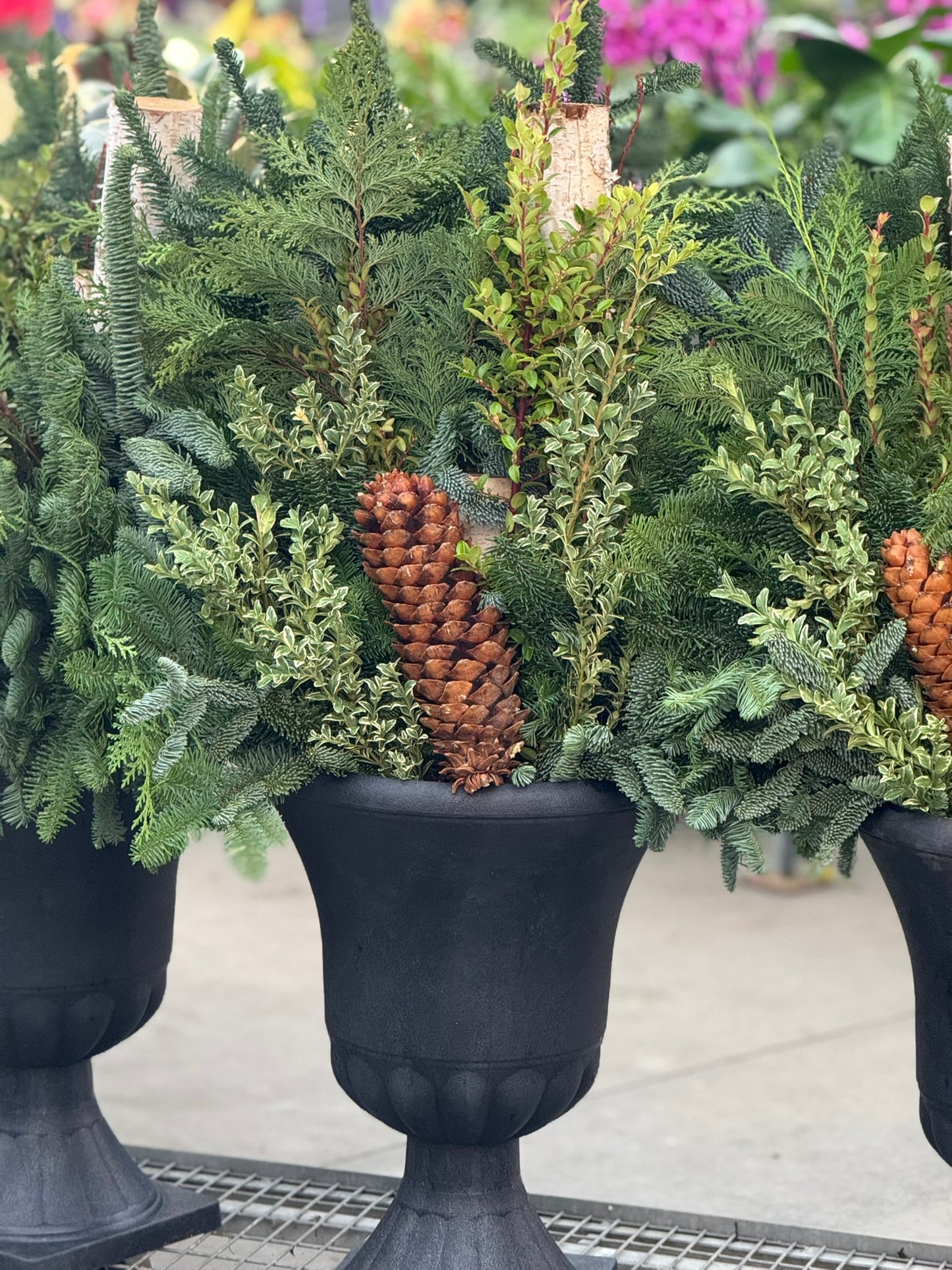 Planter, Estate Urn Each