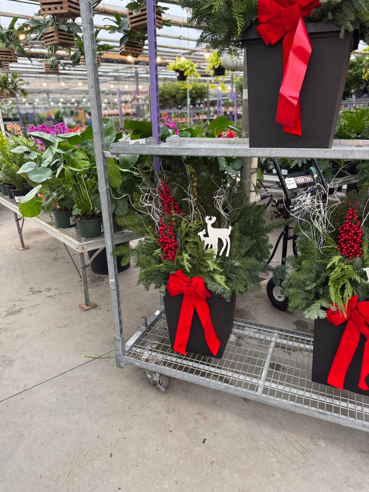 Planter, 14" Tall Tuscany Square, Black Each