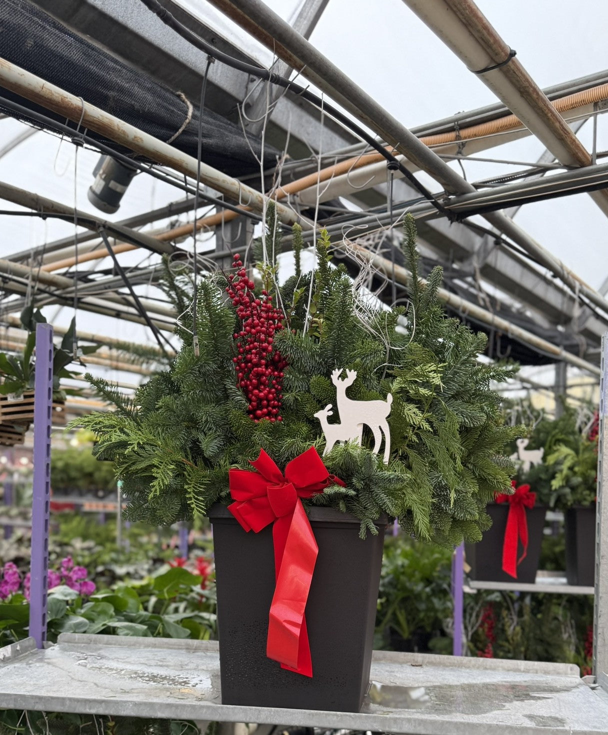 Planter, 14" Tall Tuscany Square, Black Each