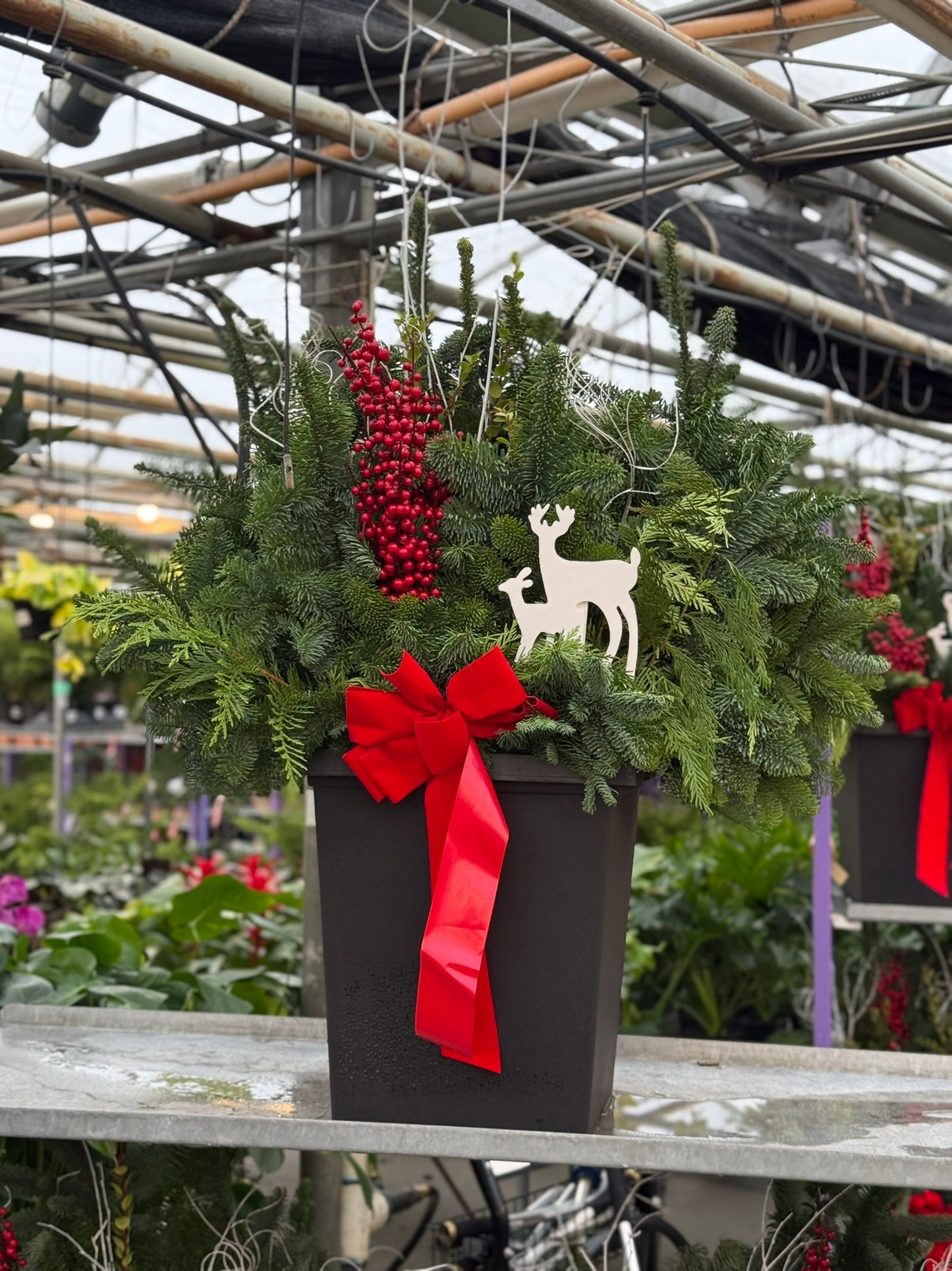 Planter, 14" Tall Tuscany Square, Black Each