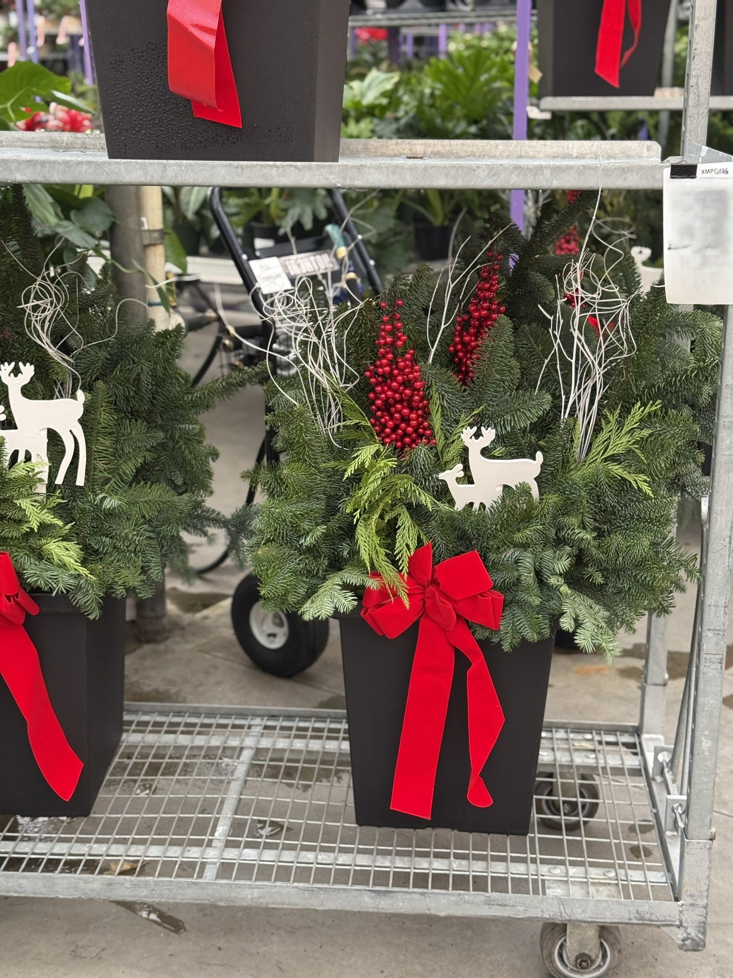 Planter, 14" Tall Tuscany Square, Black Each