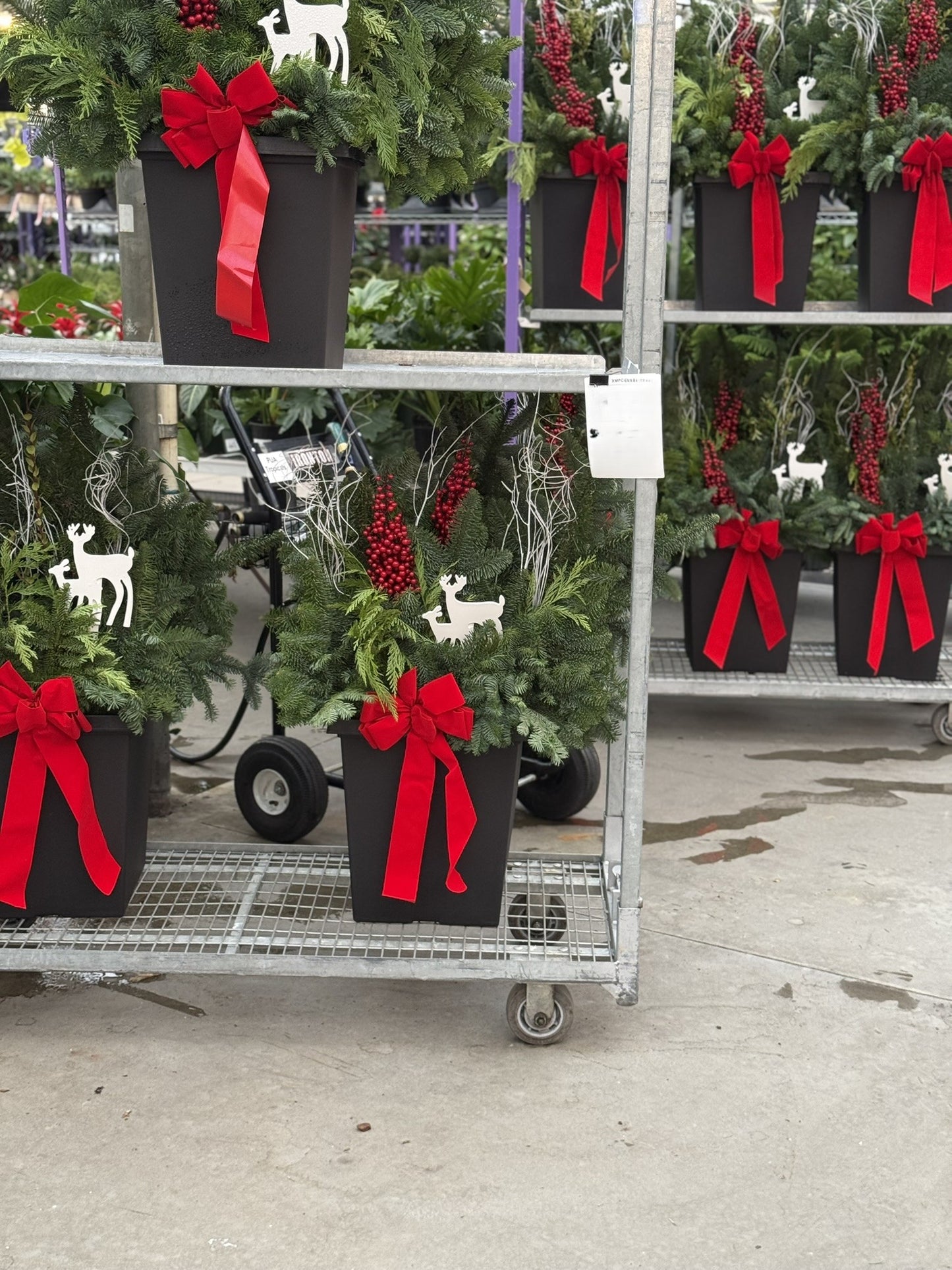 Planter, 14" Tall Tuscany Square, Black Each