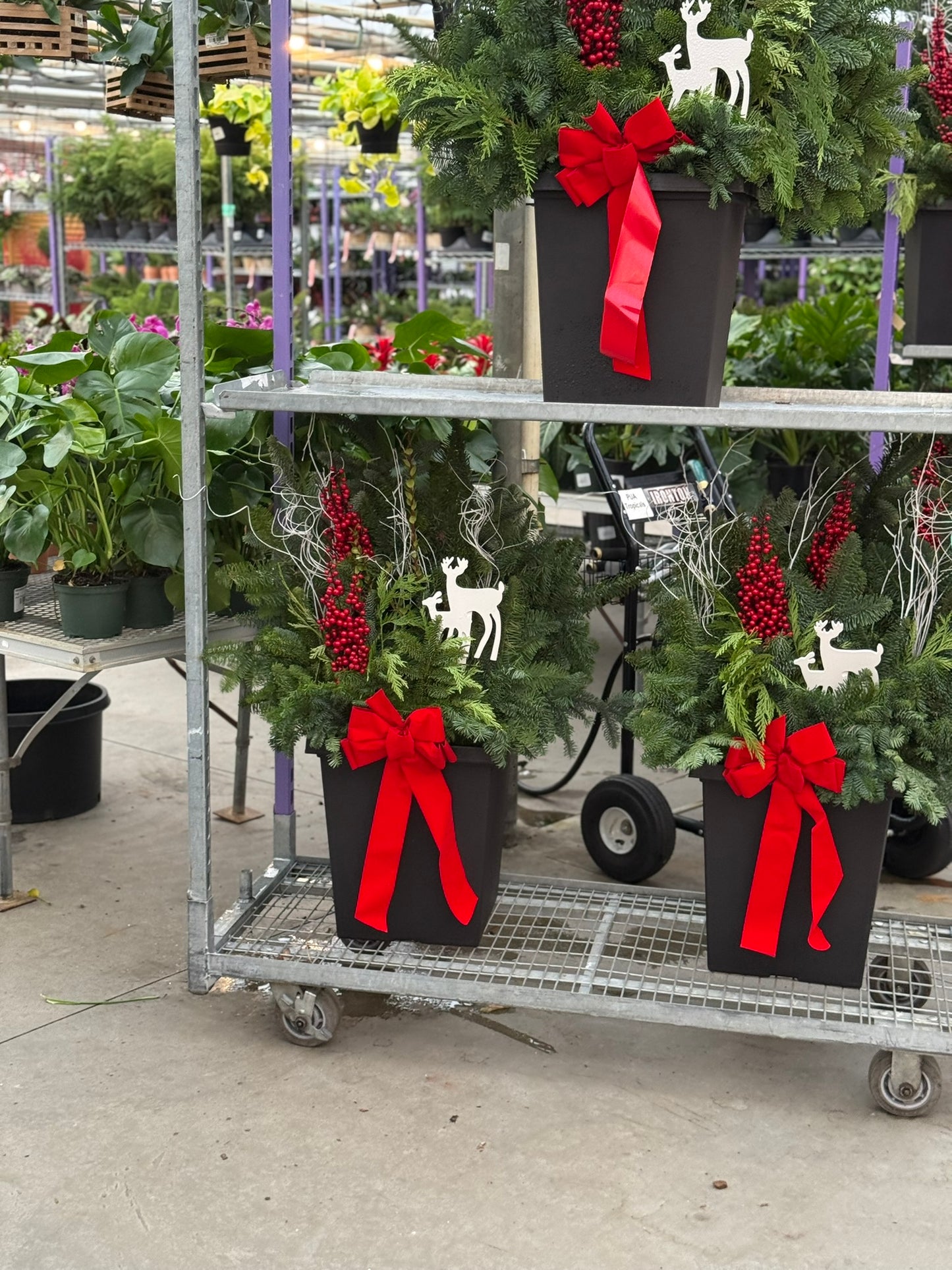 Planter, 14" Tall Tuscany Square, Black Each