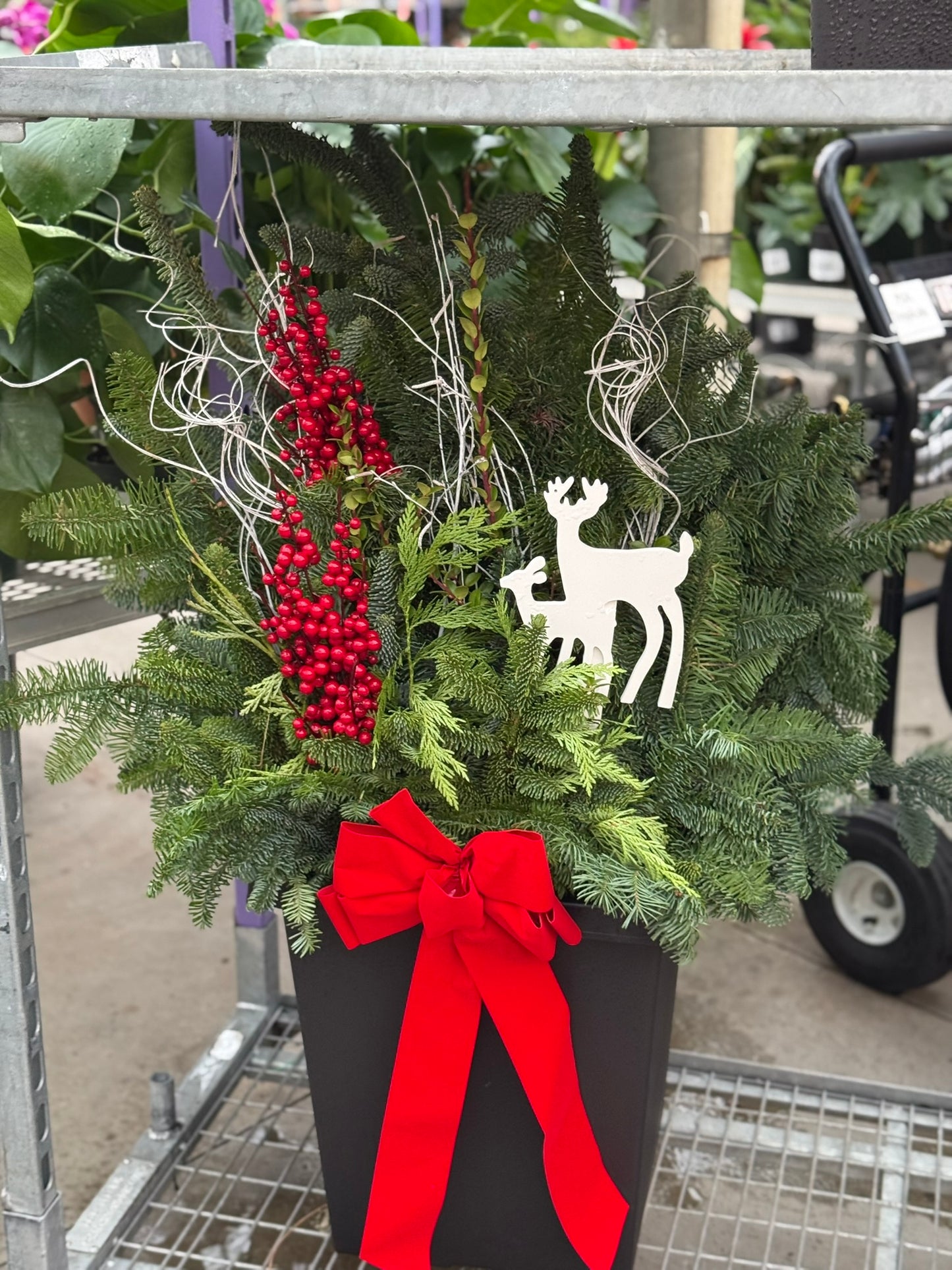 Planter, 14" Tall Tuscany Square, Black Each