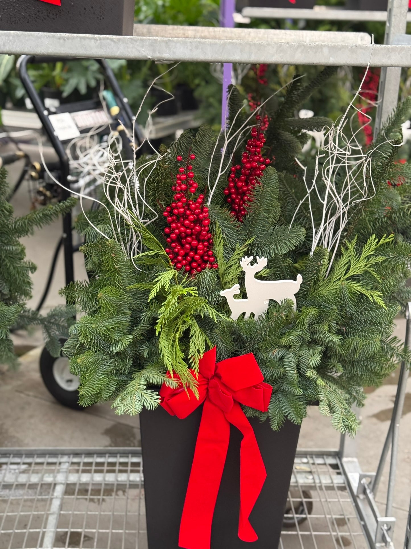 Planter, 14" Tall Tuscany Square, Black Each