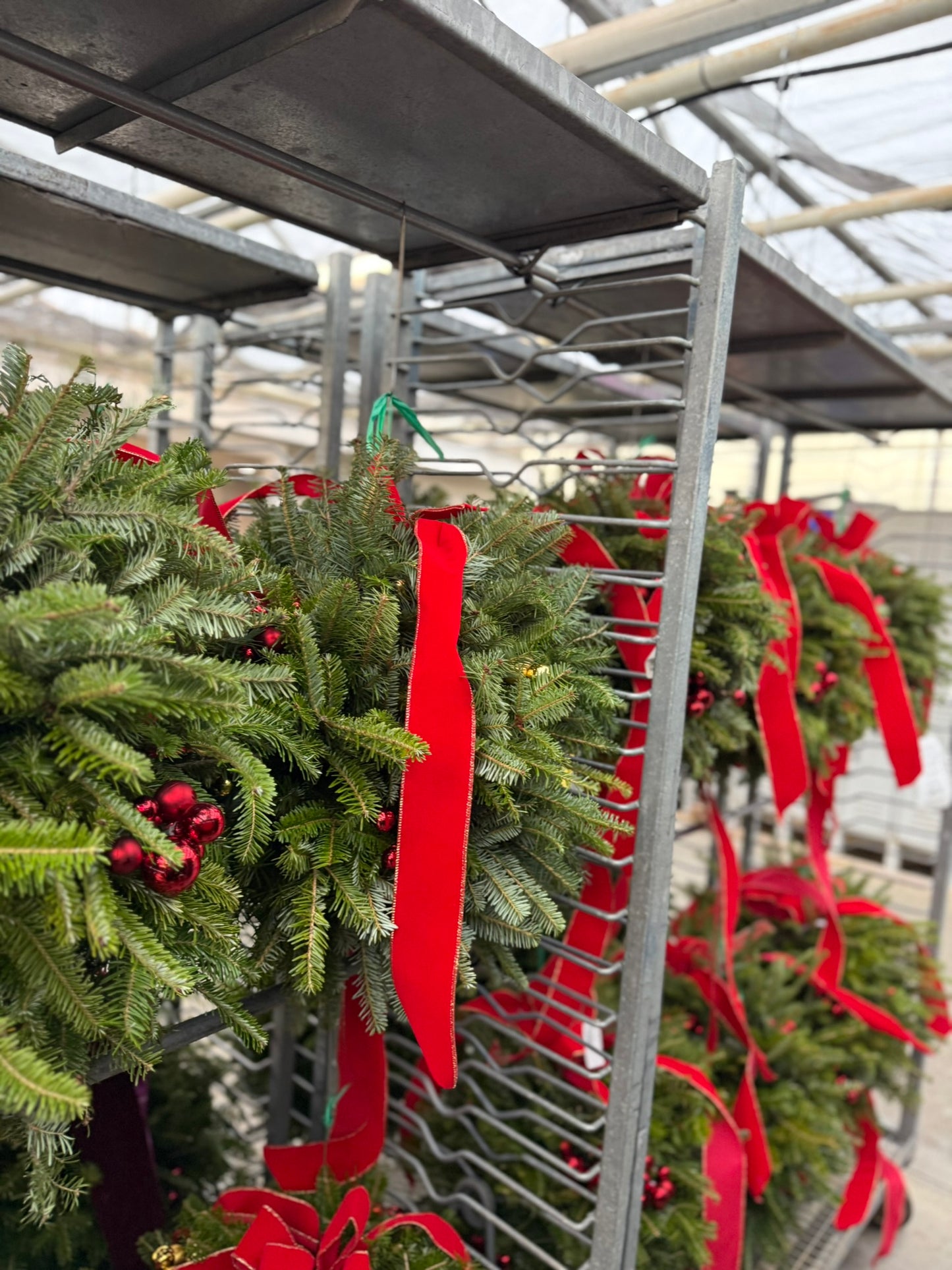 Kissing Ball, 14" Balsam/Fraser Fir, Red Each