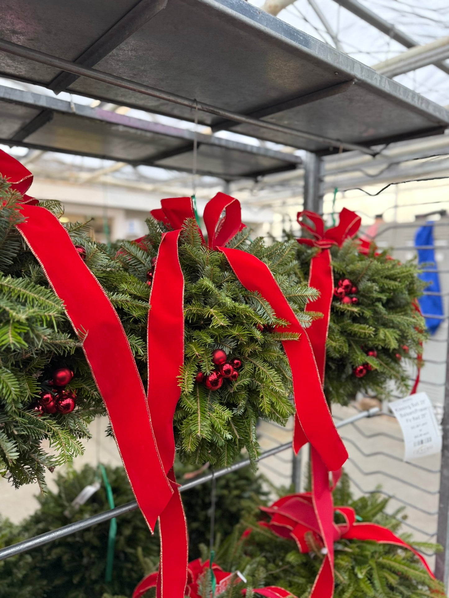 Kissing Ball, 14" Balsam/Fraser Fir, Red Each