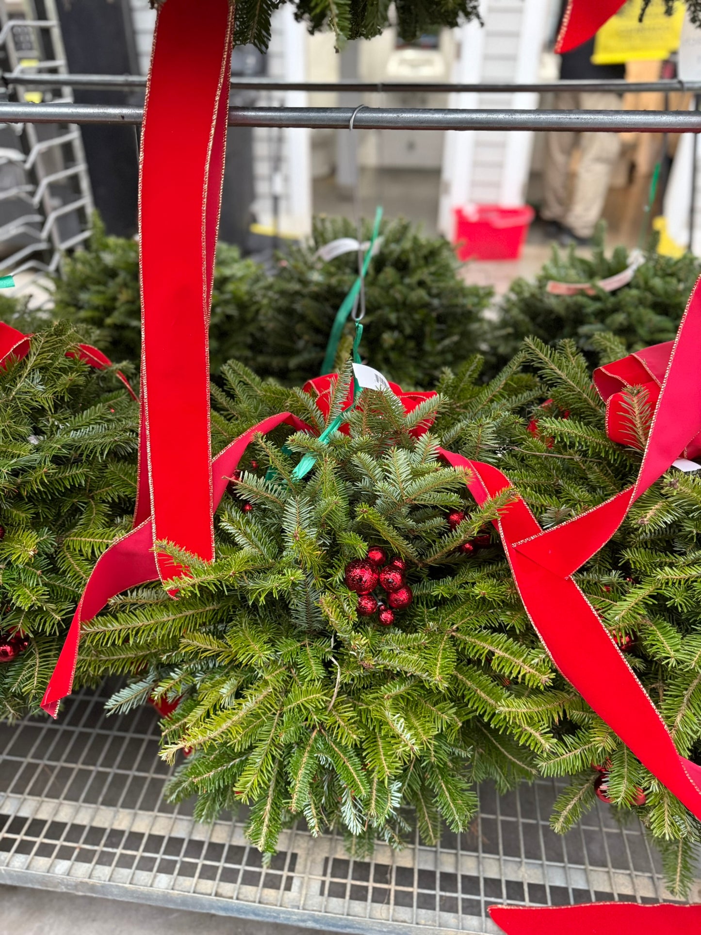 Kissing Ball, 14" Balsam/Fraser Fir, Red Each