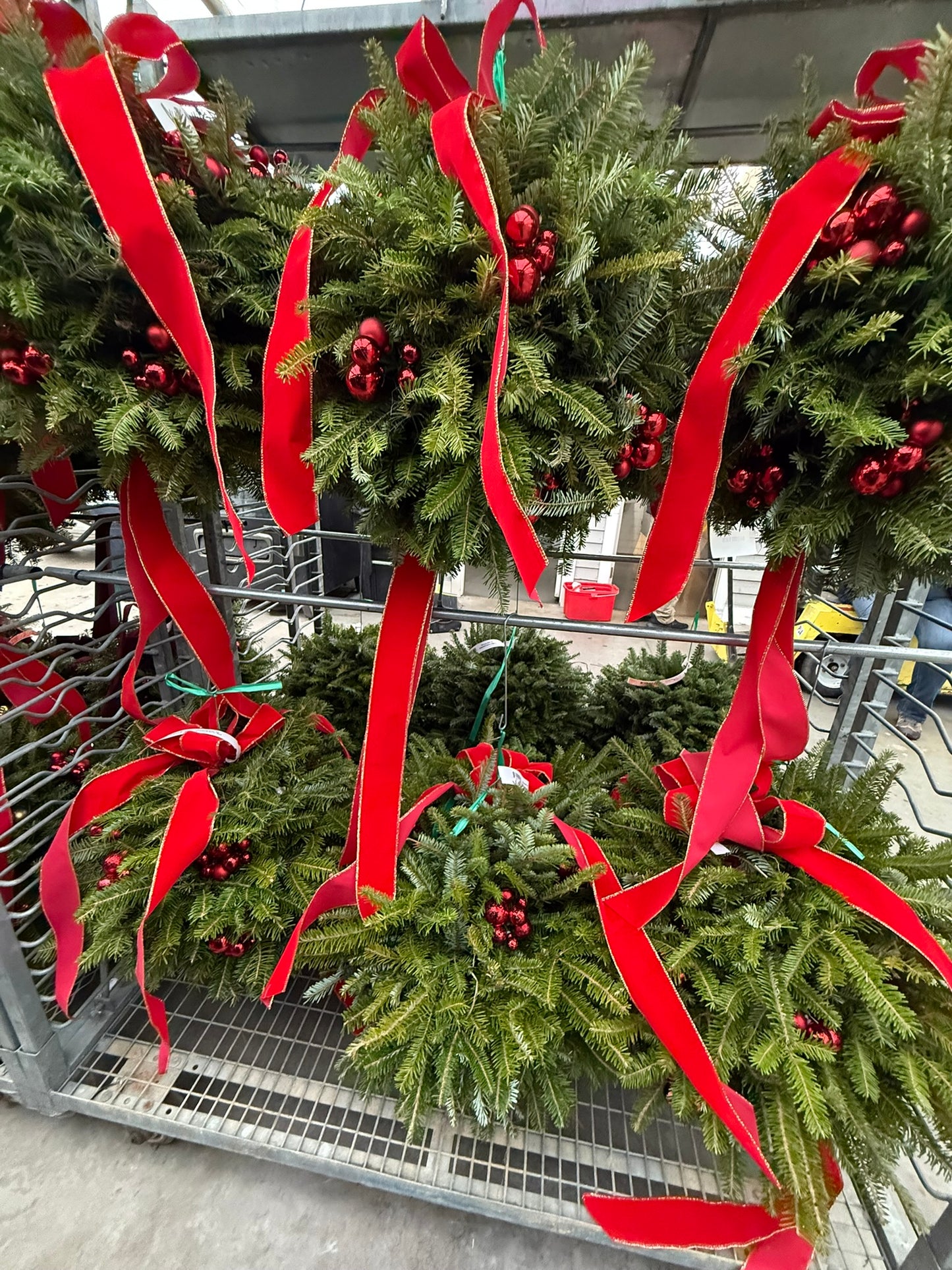 Kissing Ball, 14" Balsam/Fraser Fir, Red Each