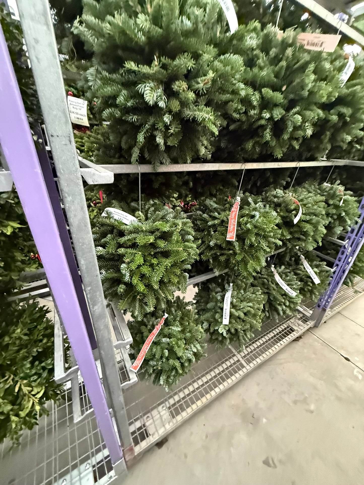 Kissing Ball, 14" Balsam/Fraser Fir, Undecorated Each