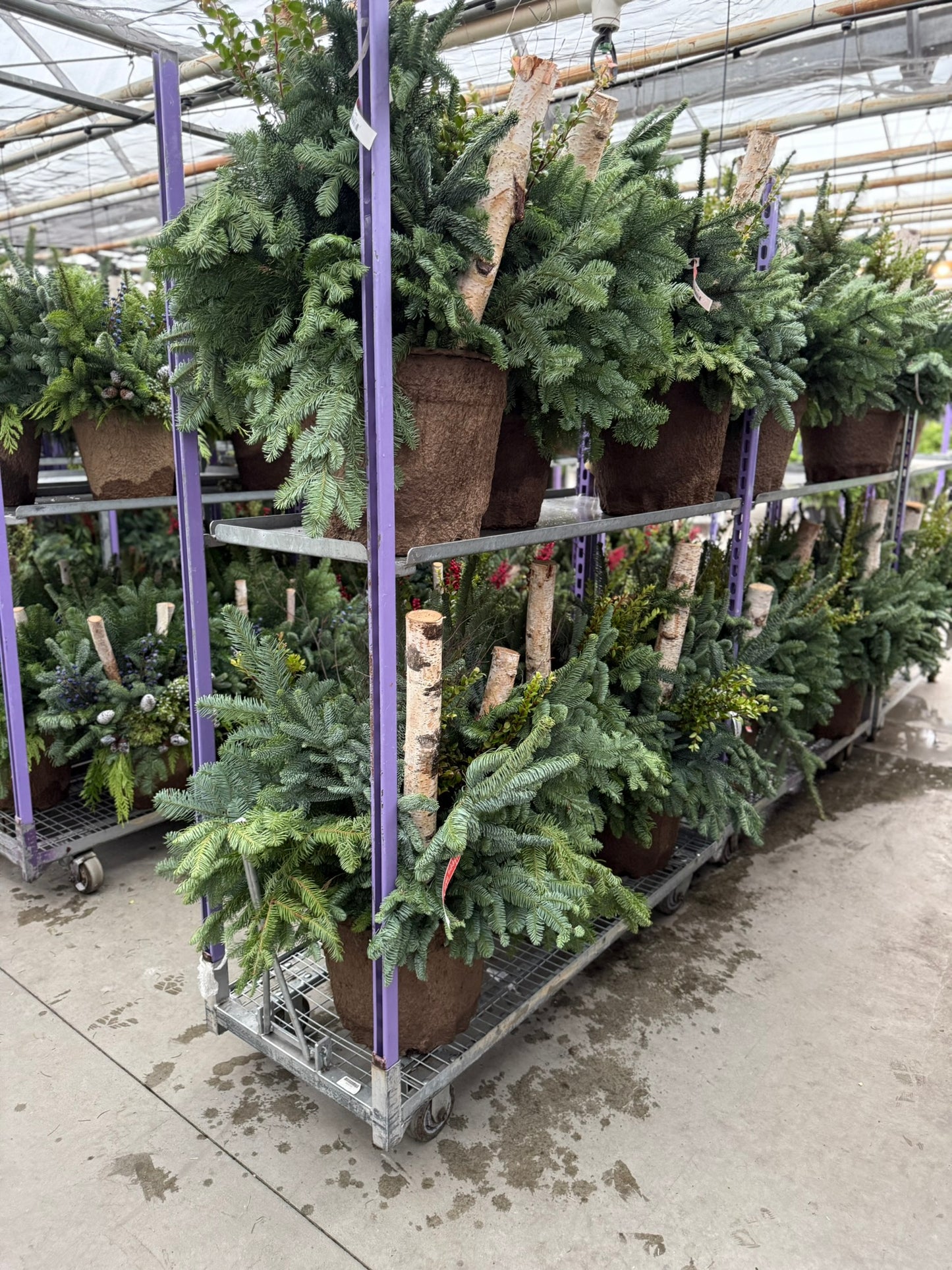 Planter, Fiber Drop in Holiday, Large Planter (Each)