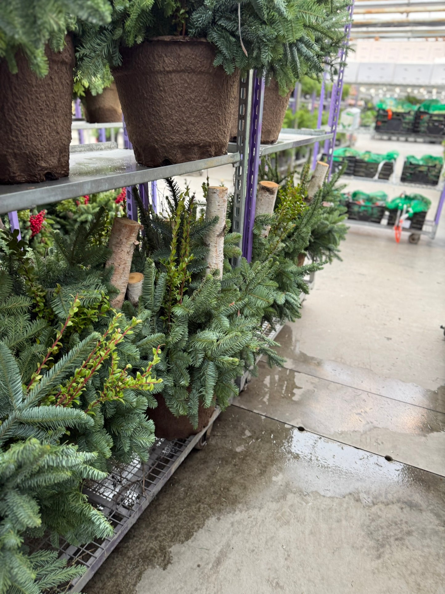 Planter, Fiber Drop in Holiday, Large Planter (Each)