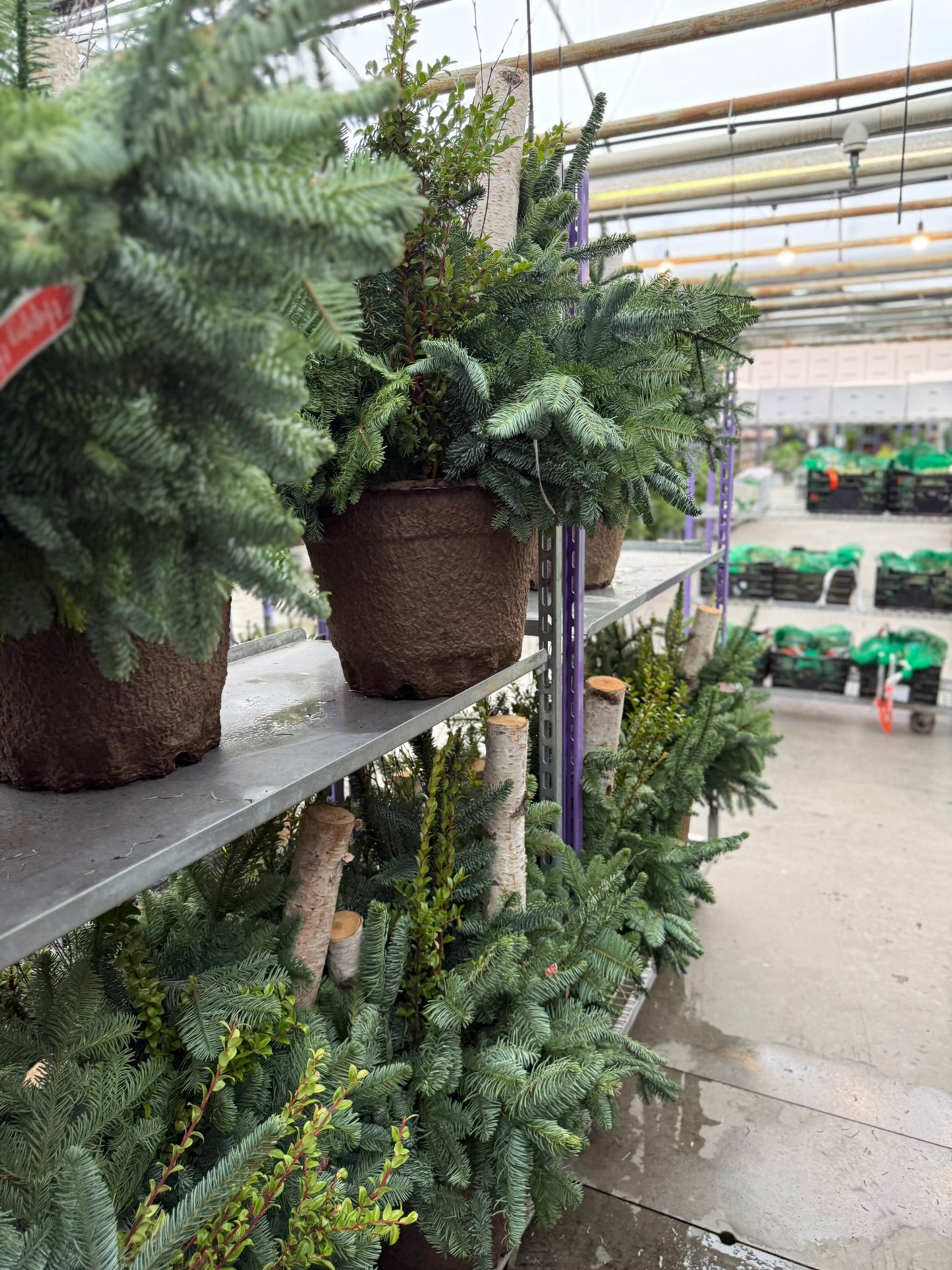 Planter, Fiber Drop in Holiday, Large Planter (Each)