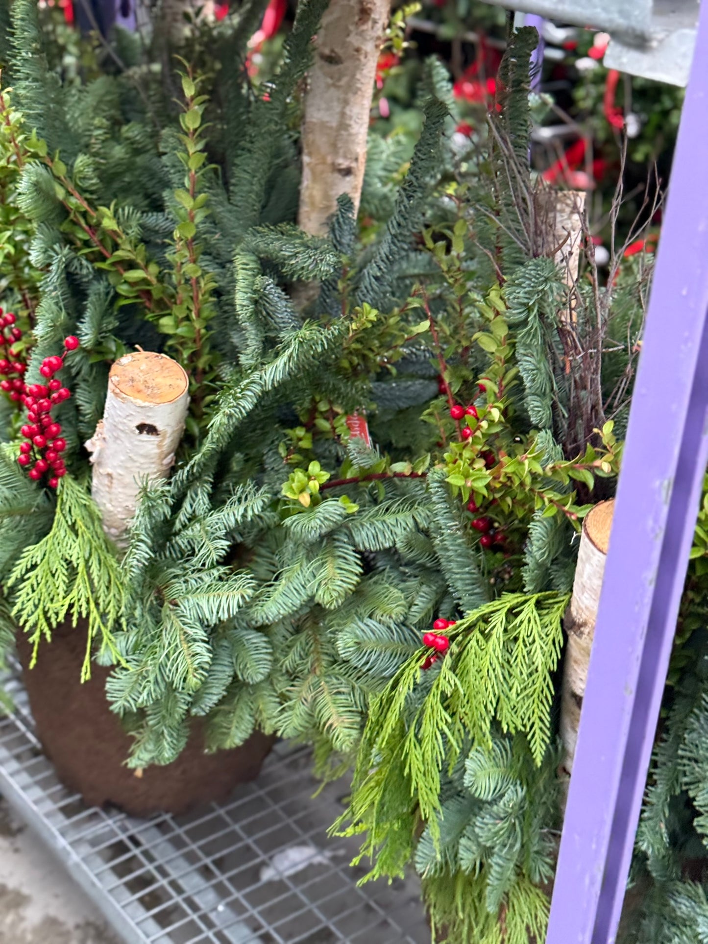 Planter, Fiber Drop in Holiday, Large Planter (Each)