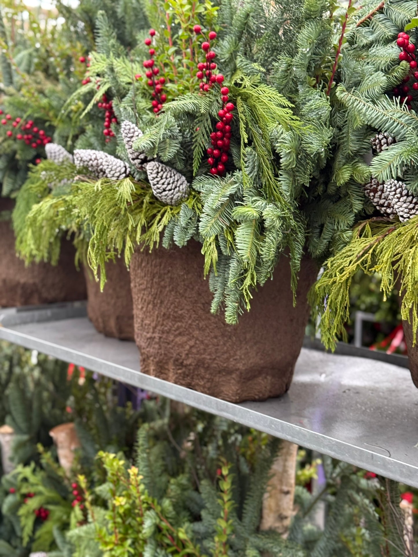 Planter, Fiber Drop in Holiday, Large Planter (Each)