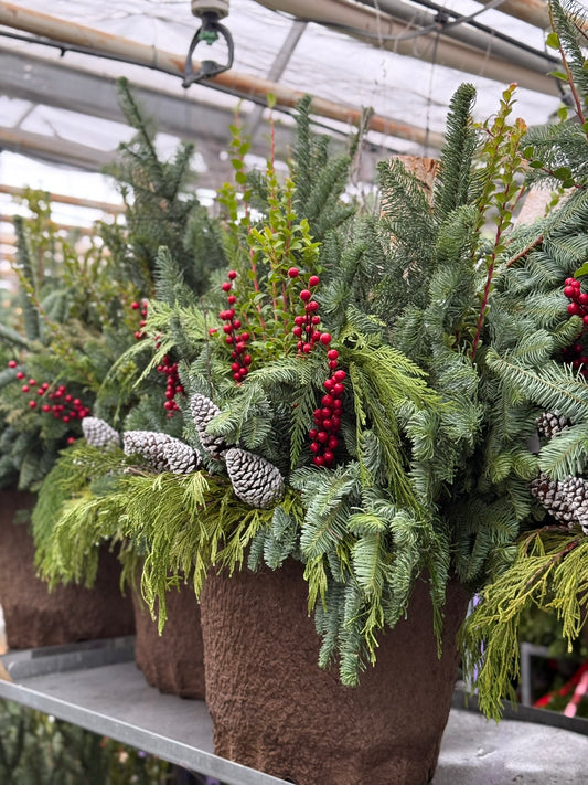 Planter, Fiber Drop in Holiday, Large Planter (Each)