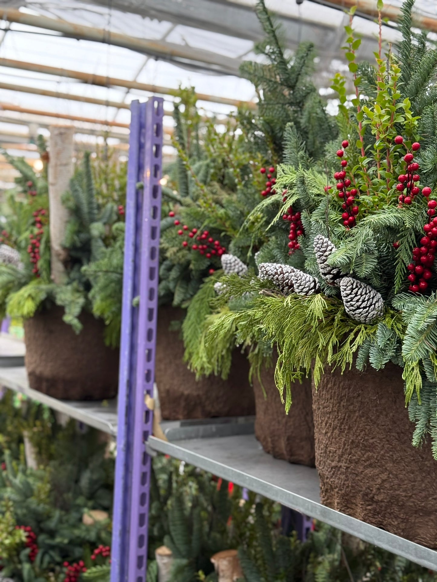 Planter, Fiber Drop in Holiday, Large Planter (Each)