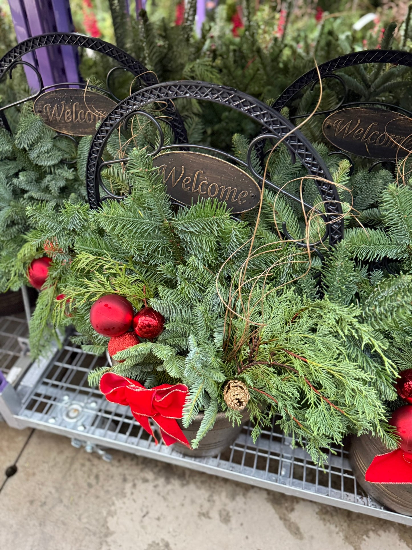 Planter, 15" Welcome Planter (Each)