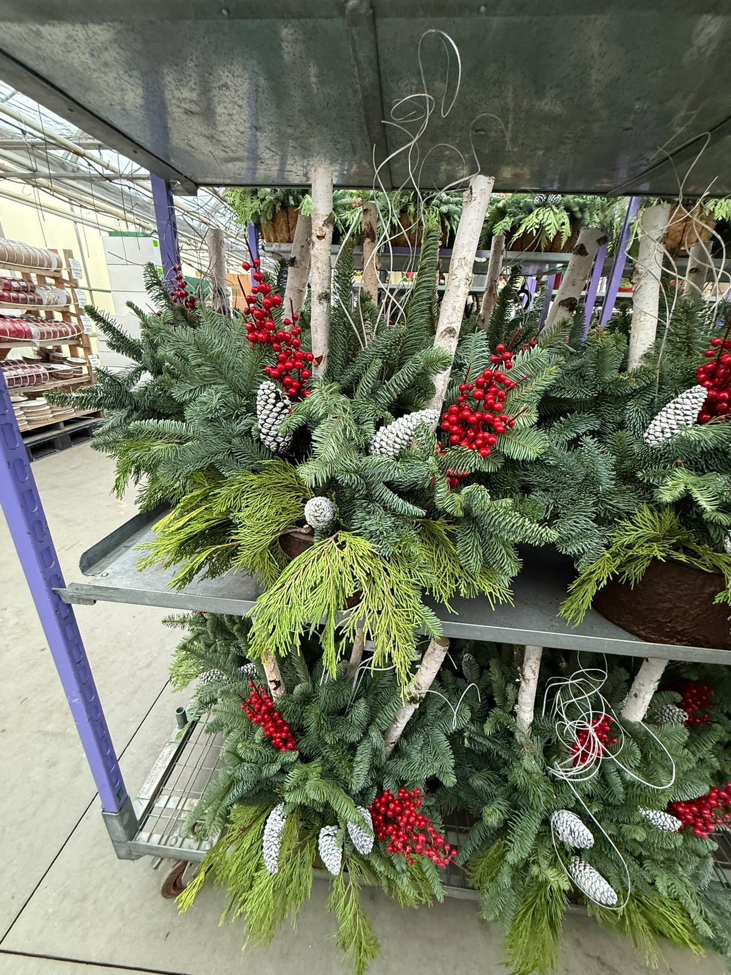 Planter, Fiber Drop in Holiday, Small Planter (Each)