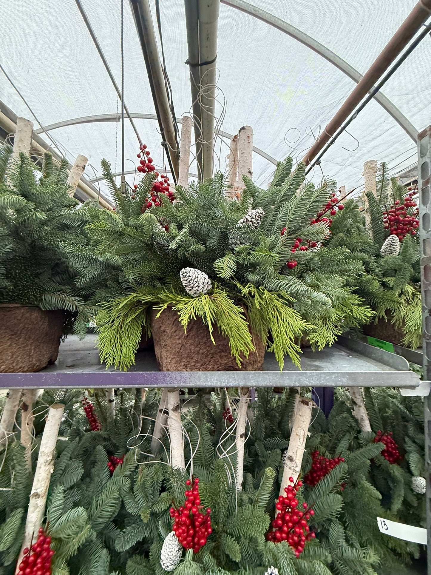 Planter, Fiber Drop in Holiday, Small Planter (Each)